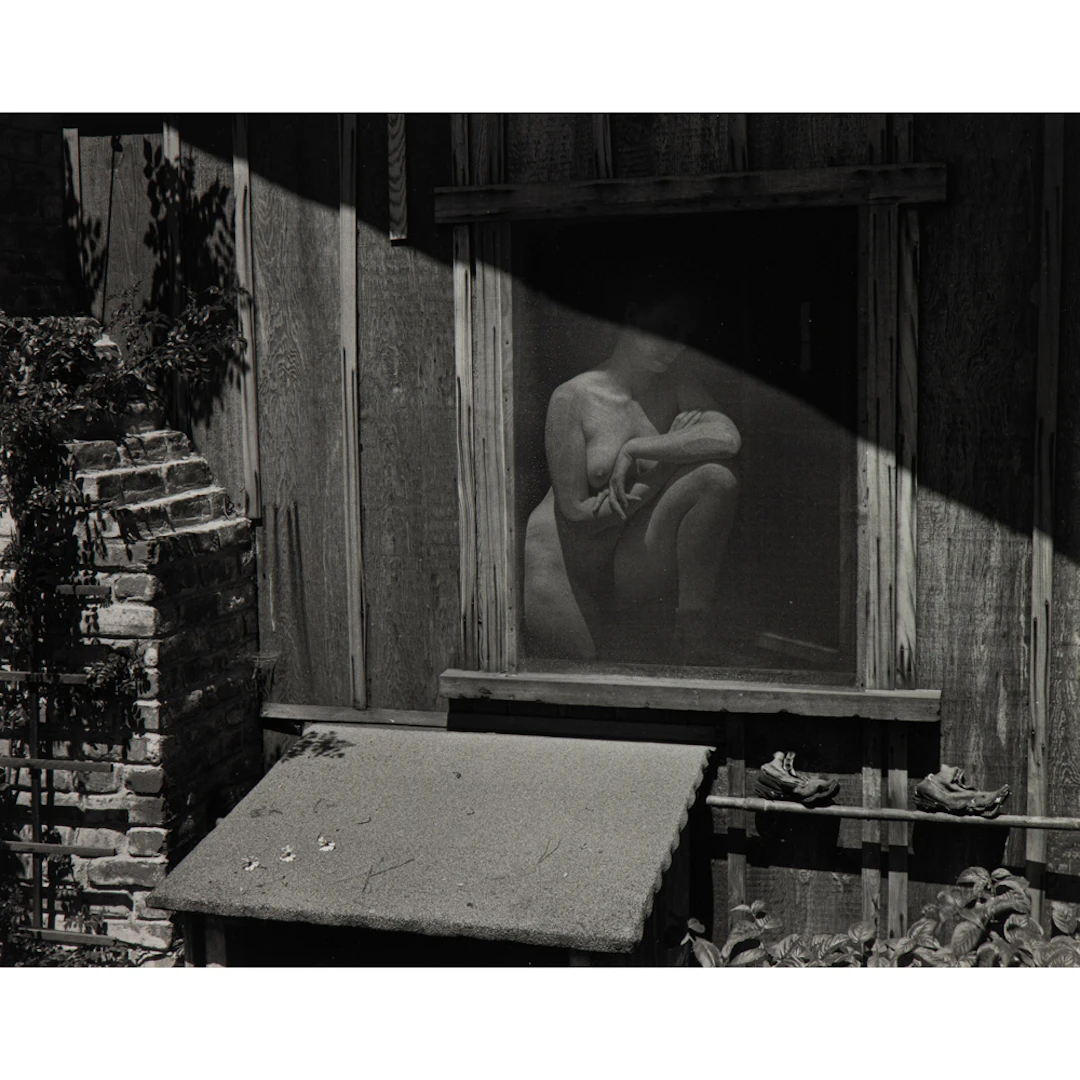 Photograph, Edward Weston