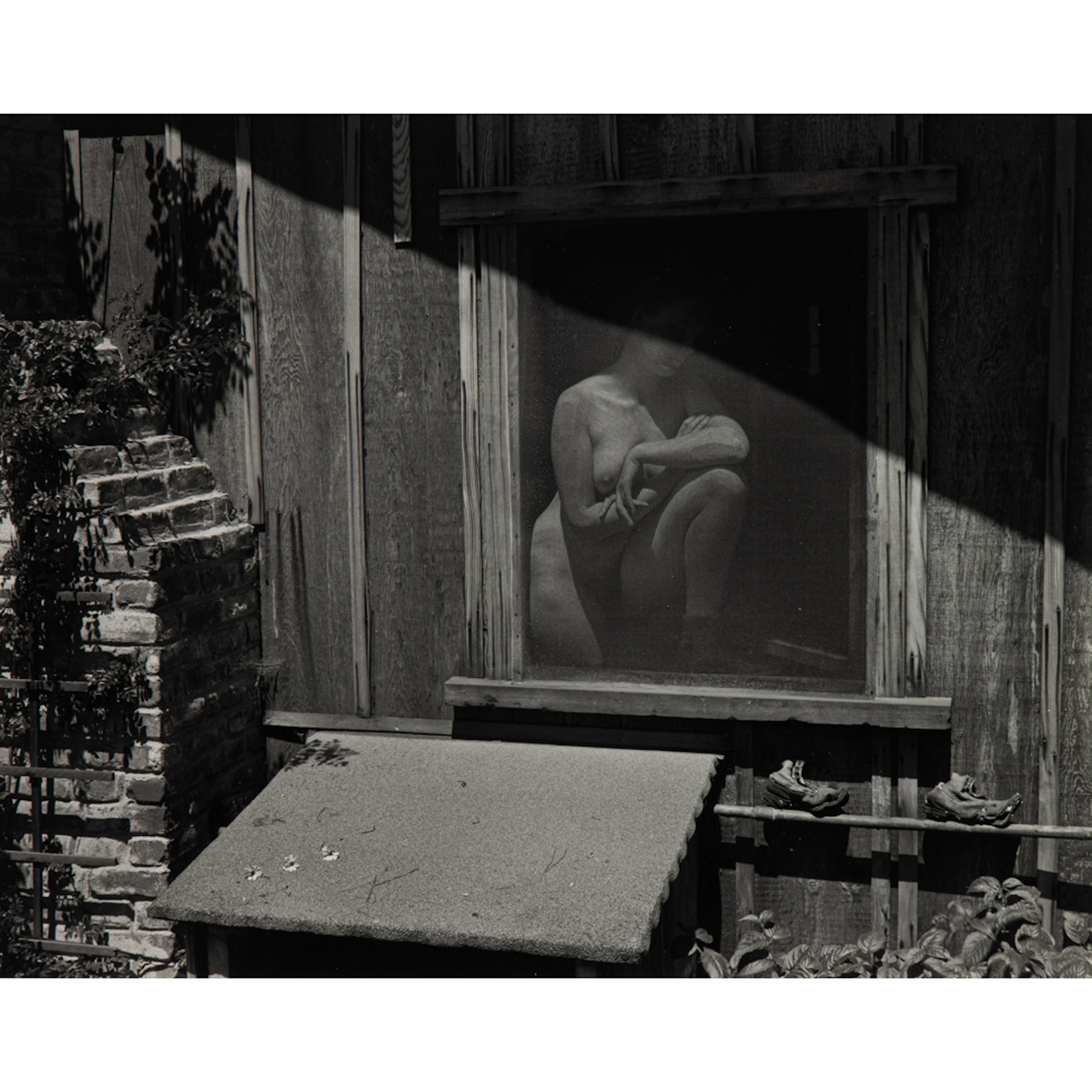 Photograph, Edward Weston