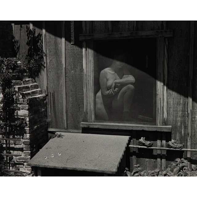 Photograph, Edward Weston