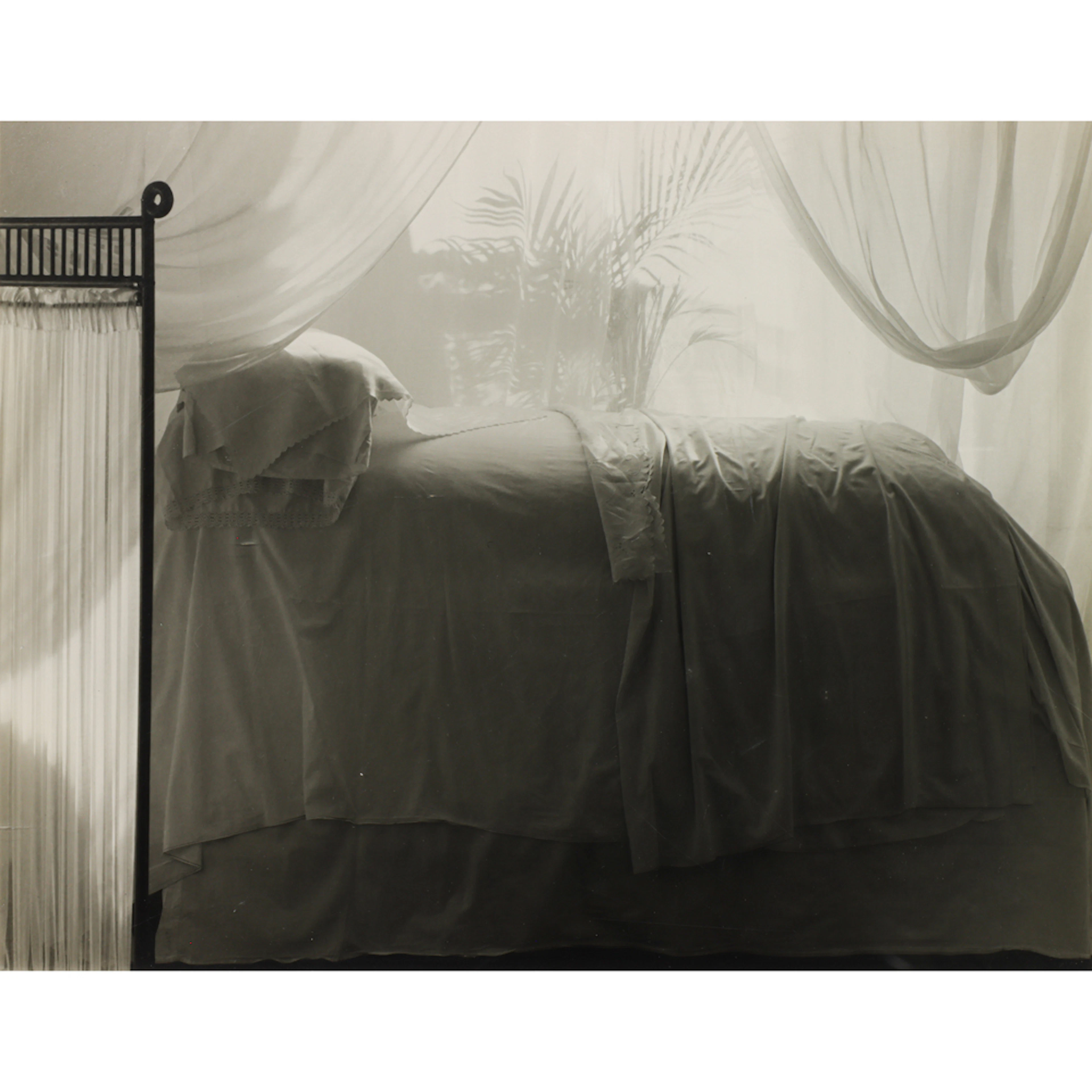 Photograph, Marsha Burns