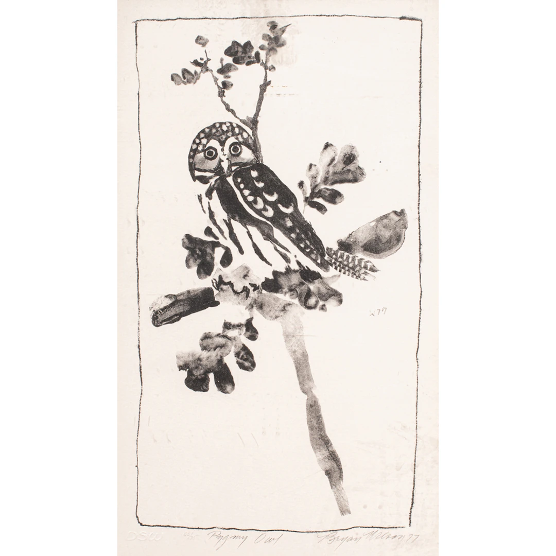 Print, Bryan Wilson