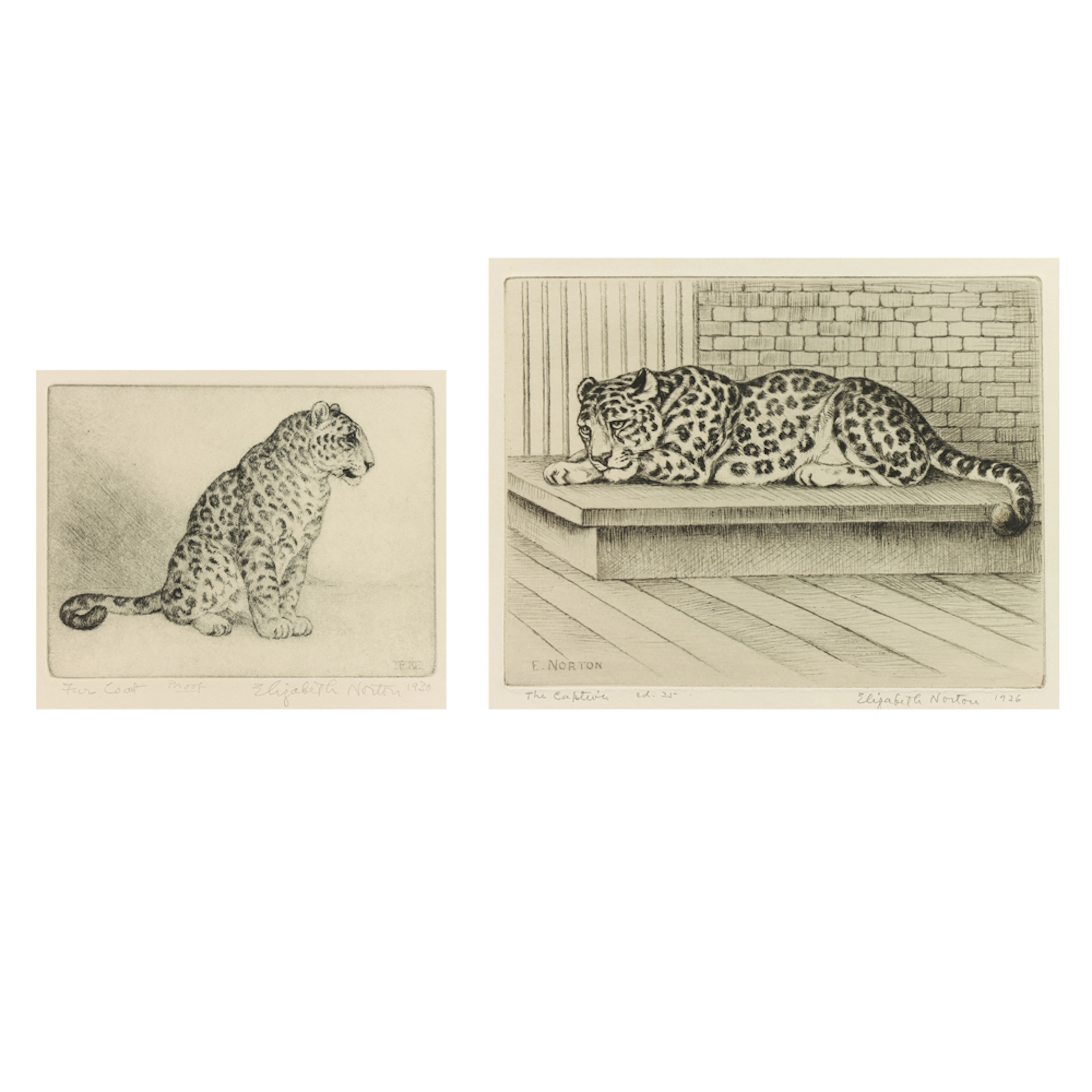 Prints, Elizabeth Norton