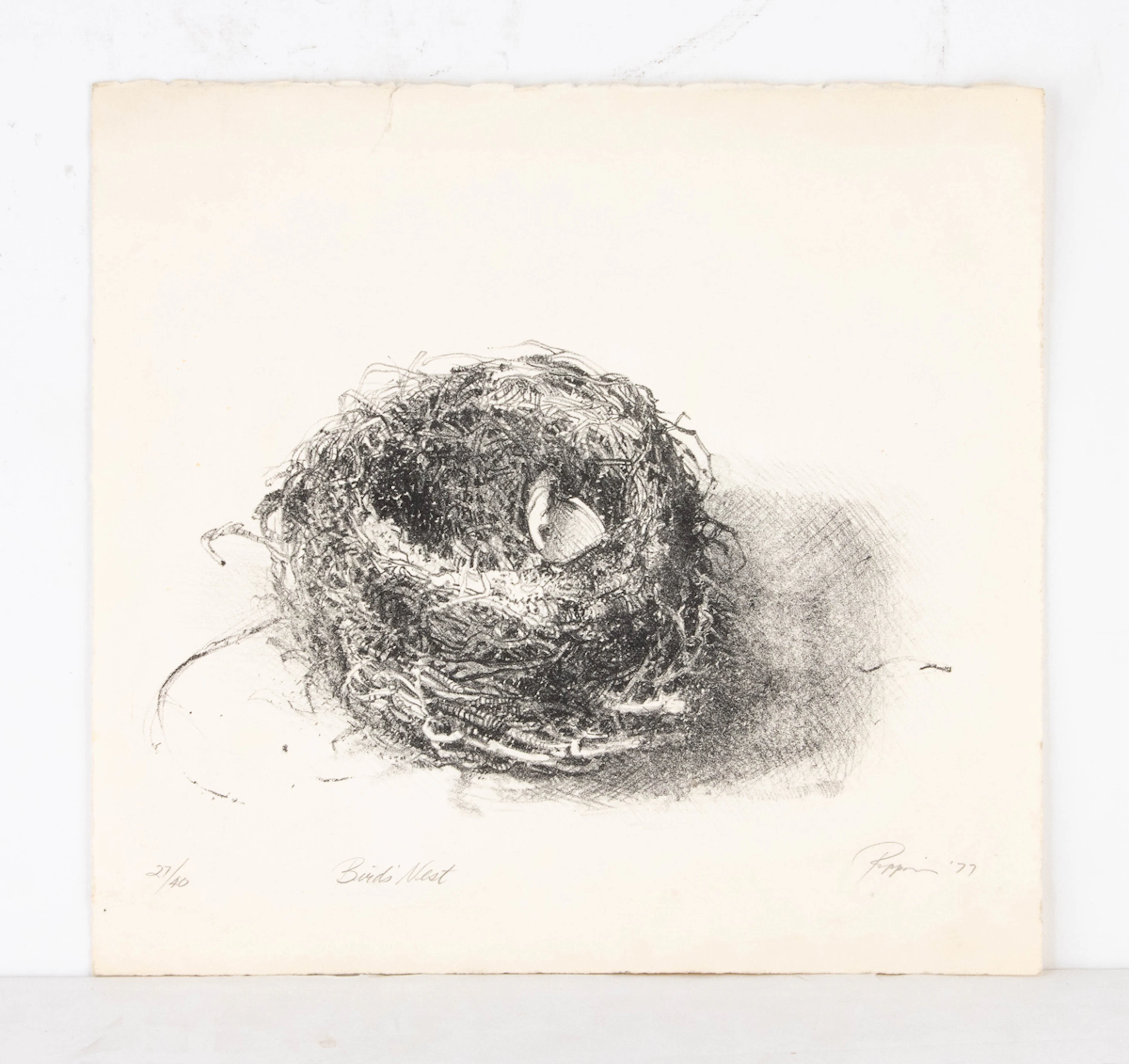 Lithograph, Rippon