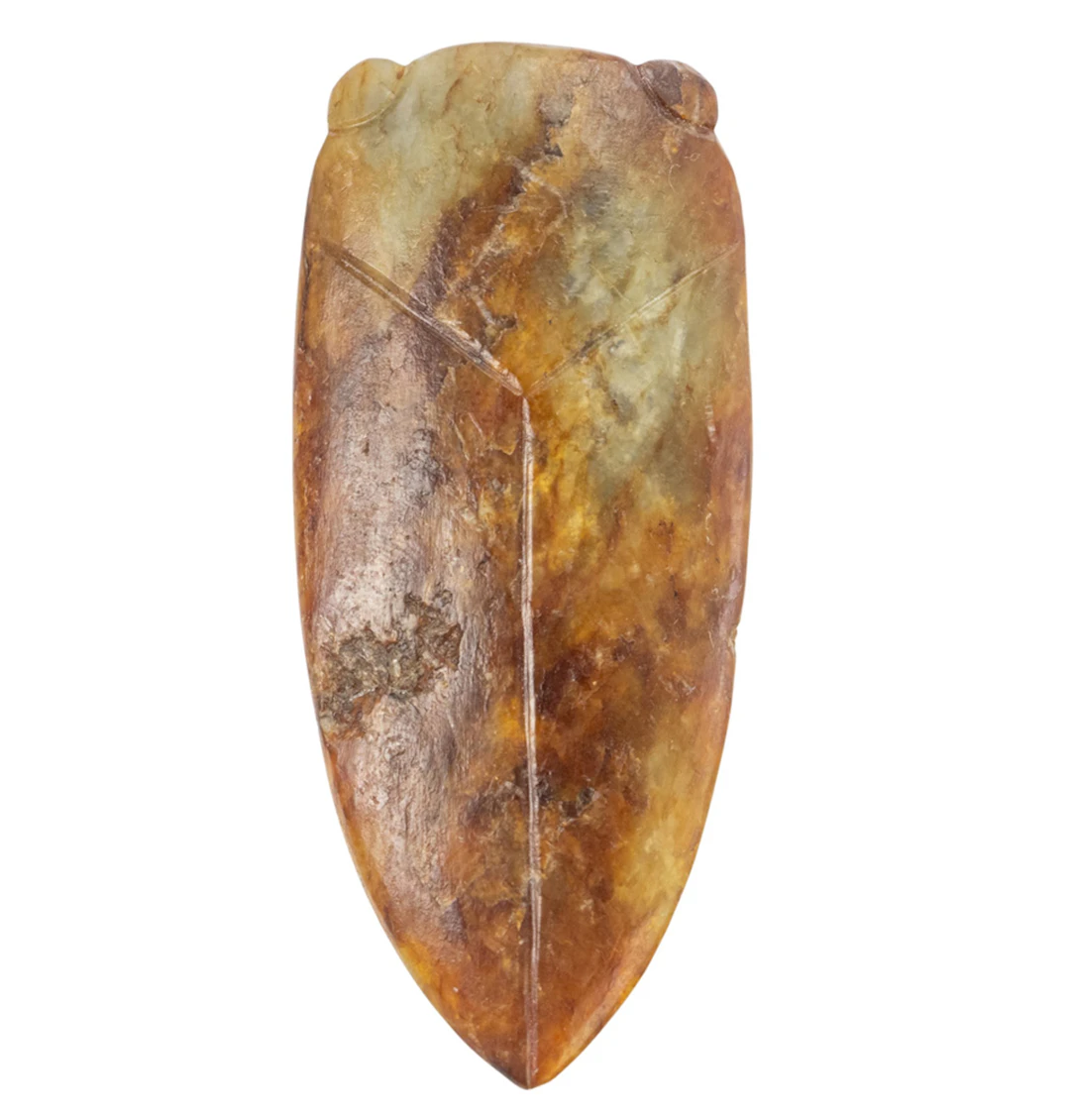 A Chinese archaic jade cicada