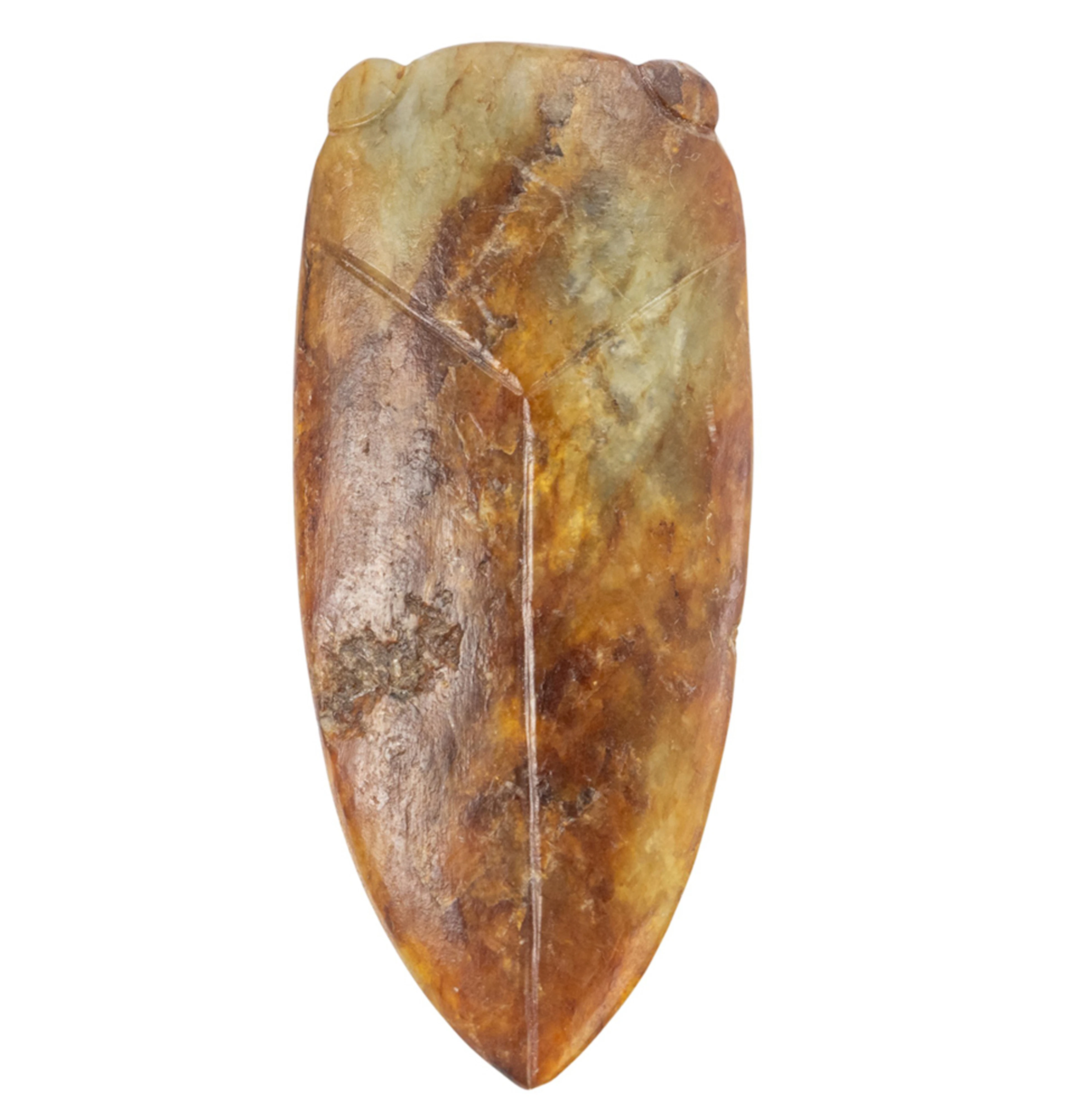 A Chinese archaic jade cicada