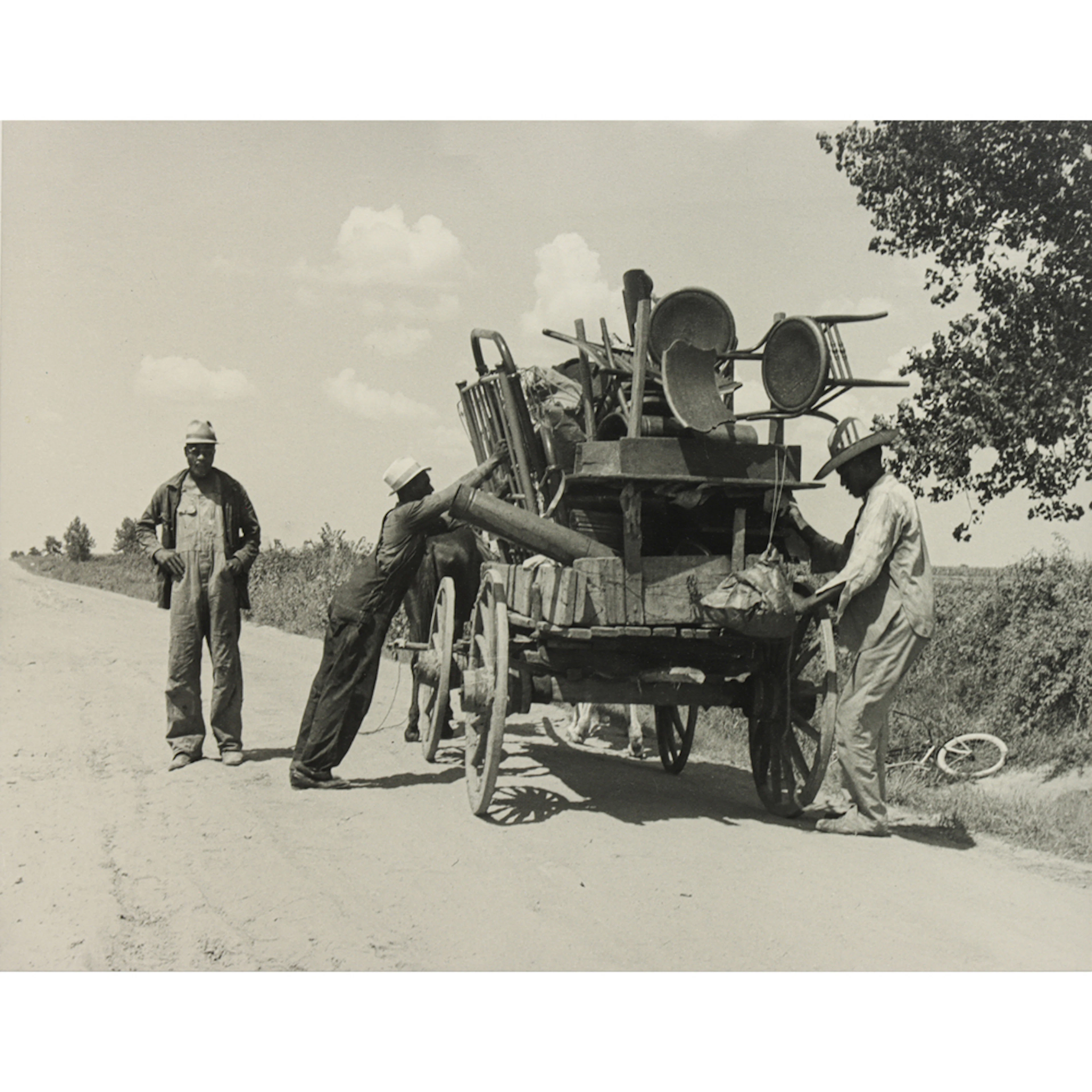 Photograph, Dorothea Lange