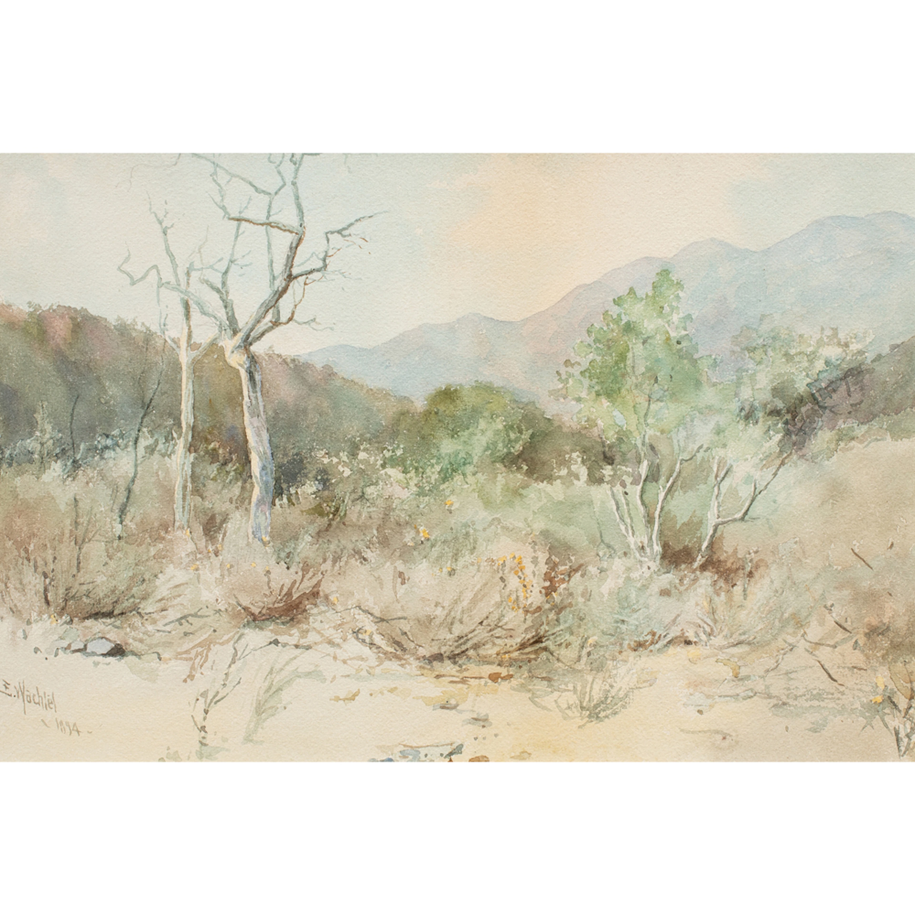 Watercolor, Elmer Wachtel