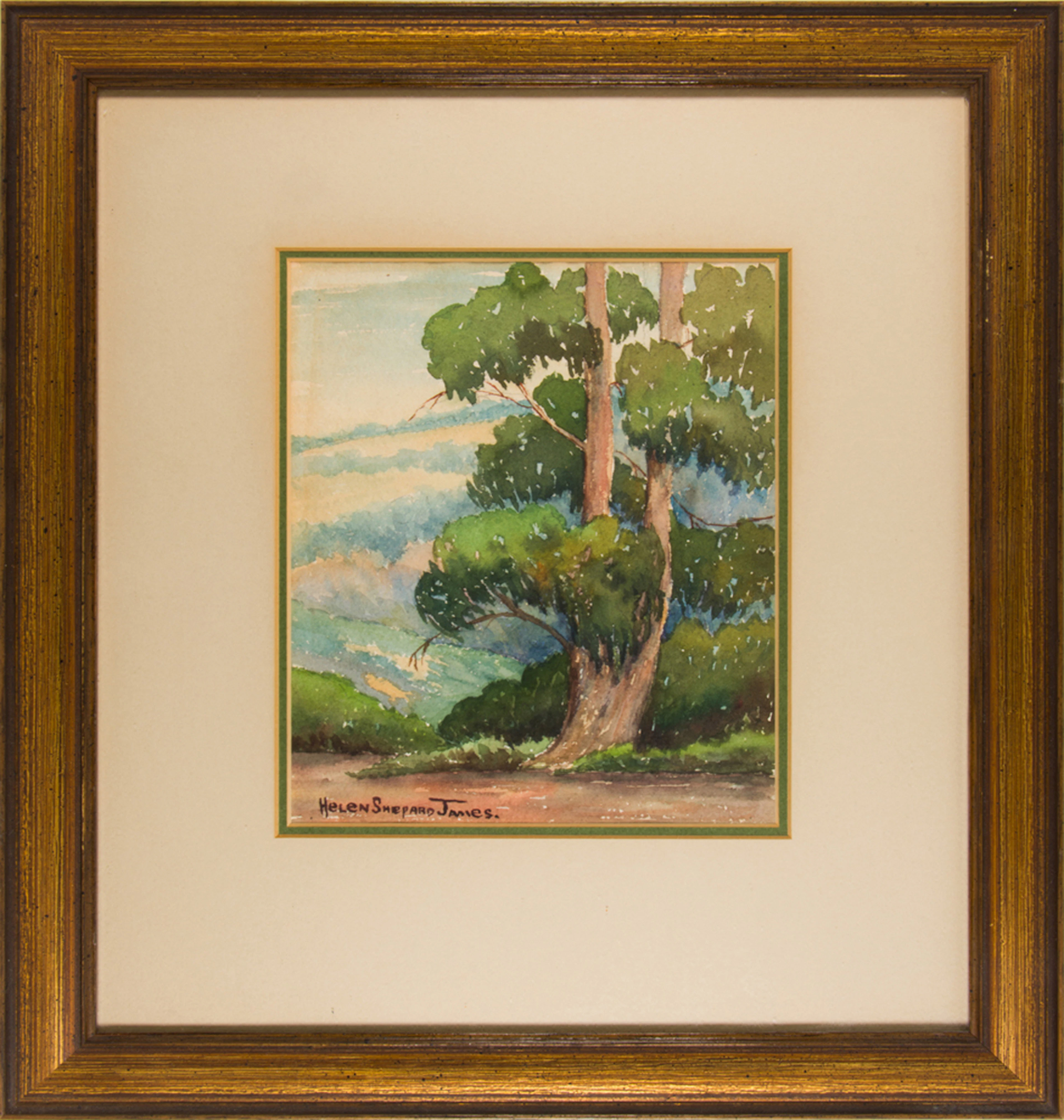 Watercolor, Helen Shepard James