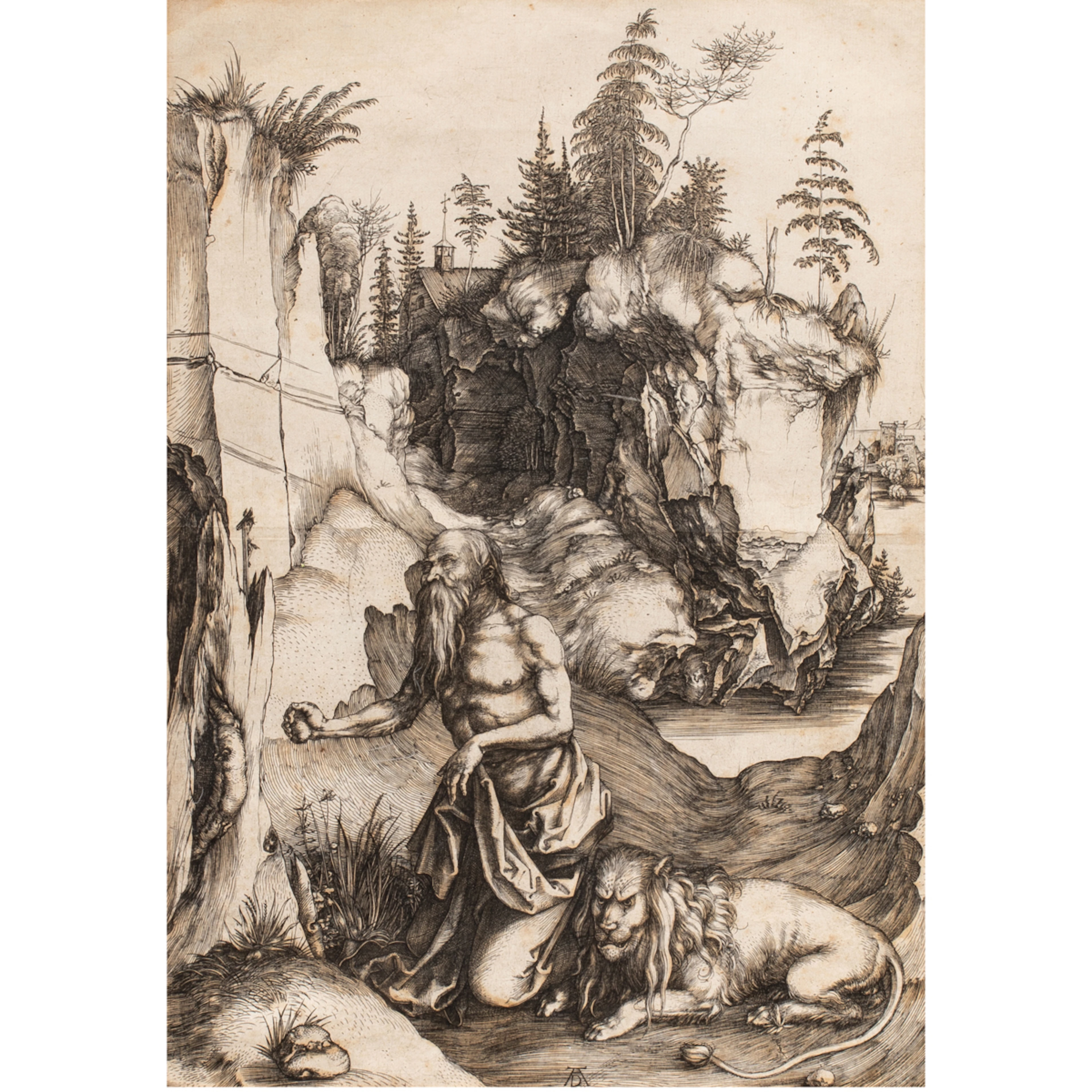 Print, Albrecht Durer