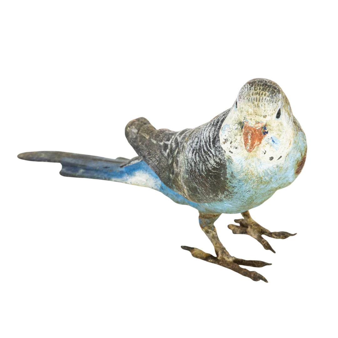 An Austrian cold painted bronze figure of a blue budgie bird
