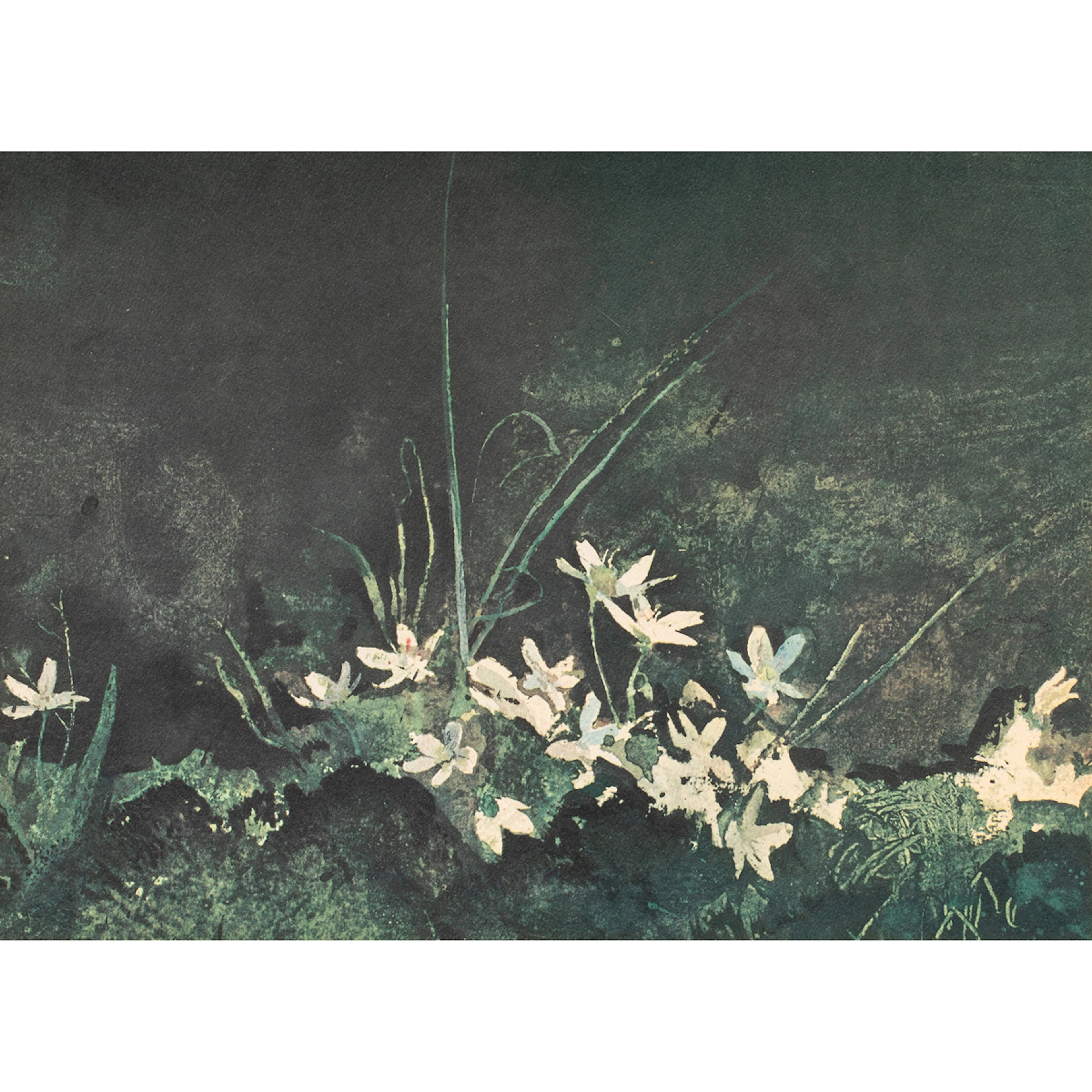 Print, Andrew Wyeth