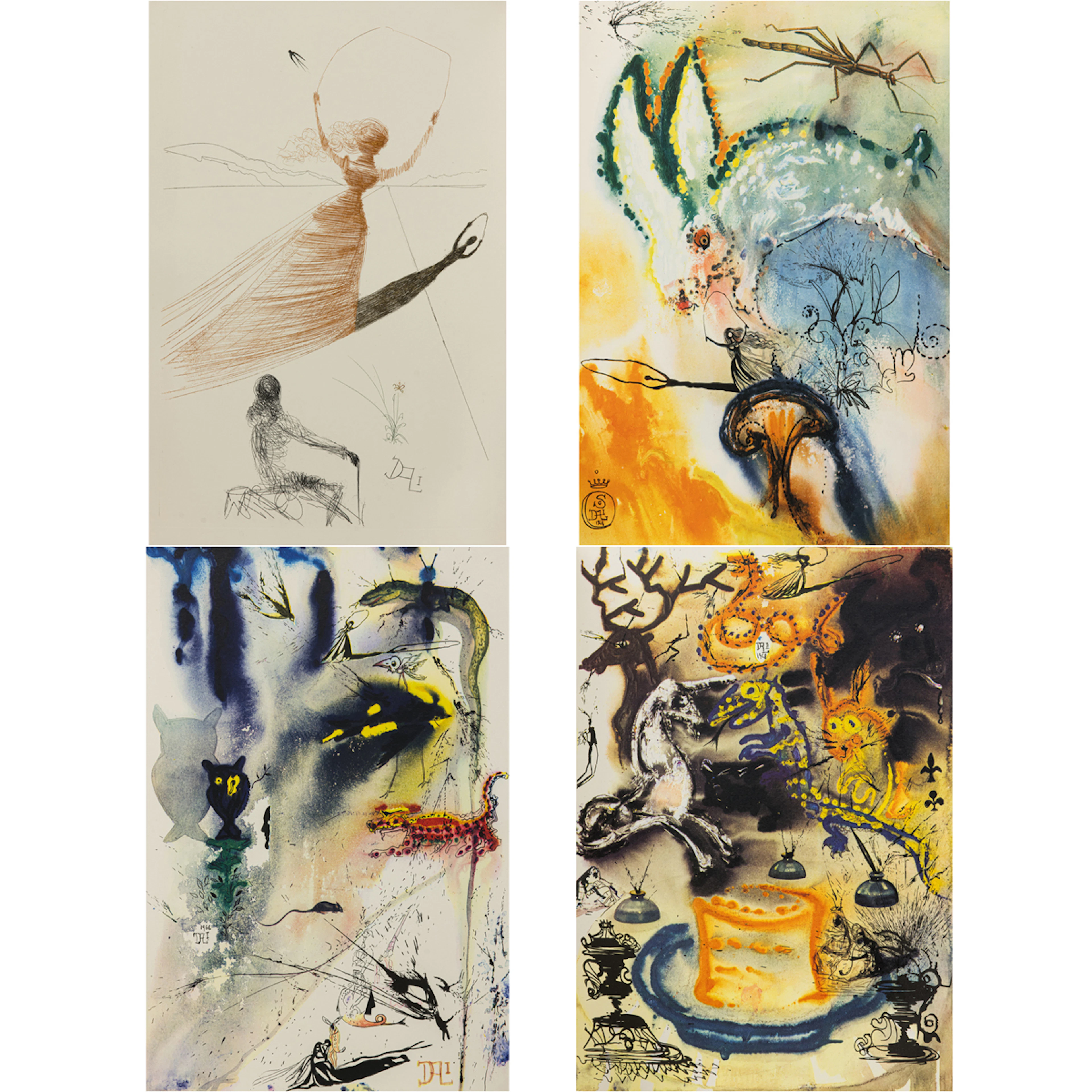 Portfolio, Salvador Dali