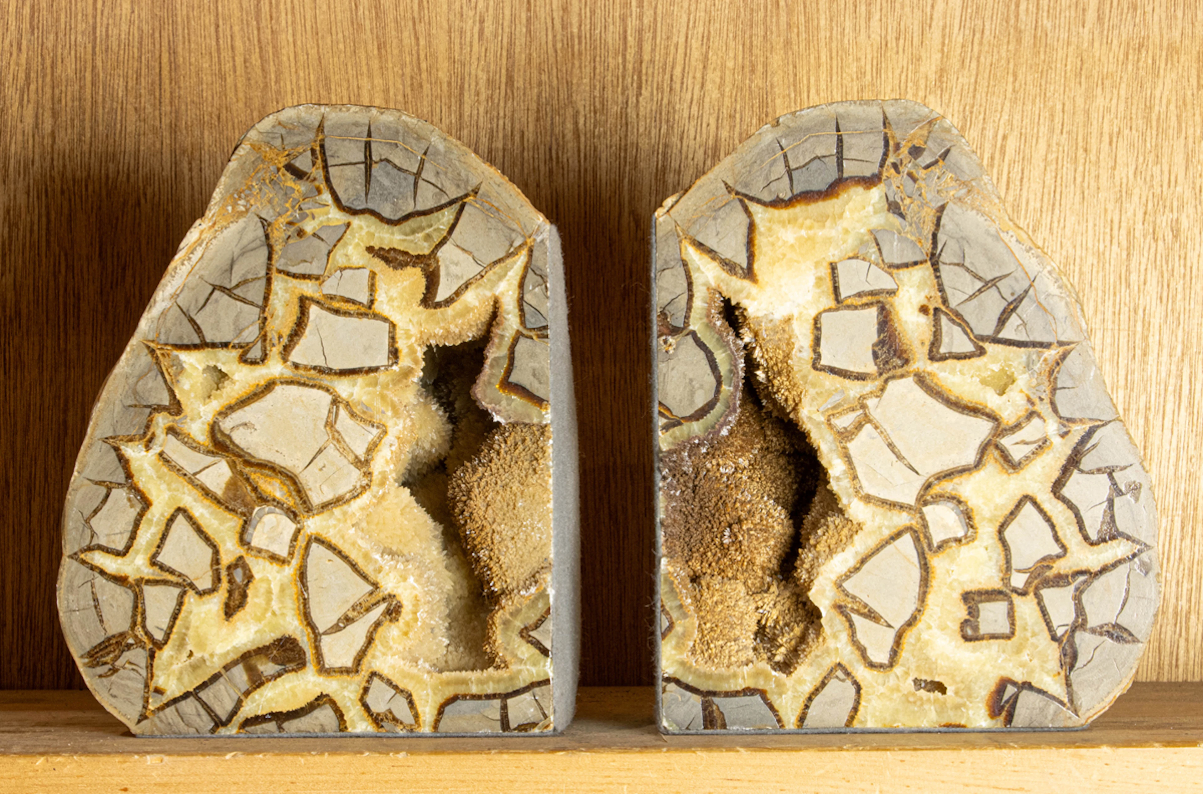 A pair of polished septarian geode bookends