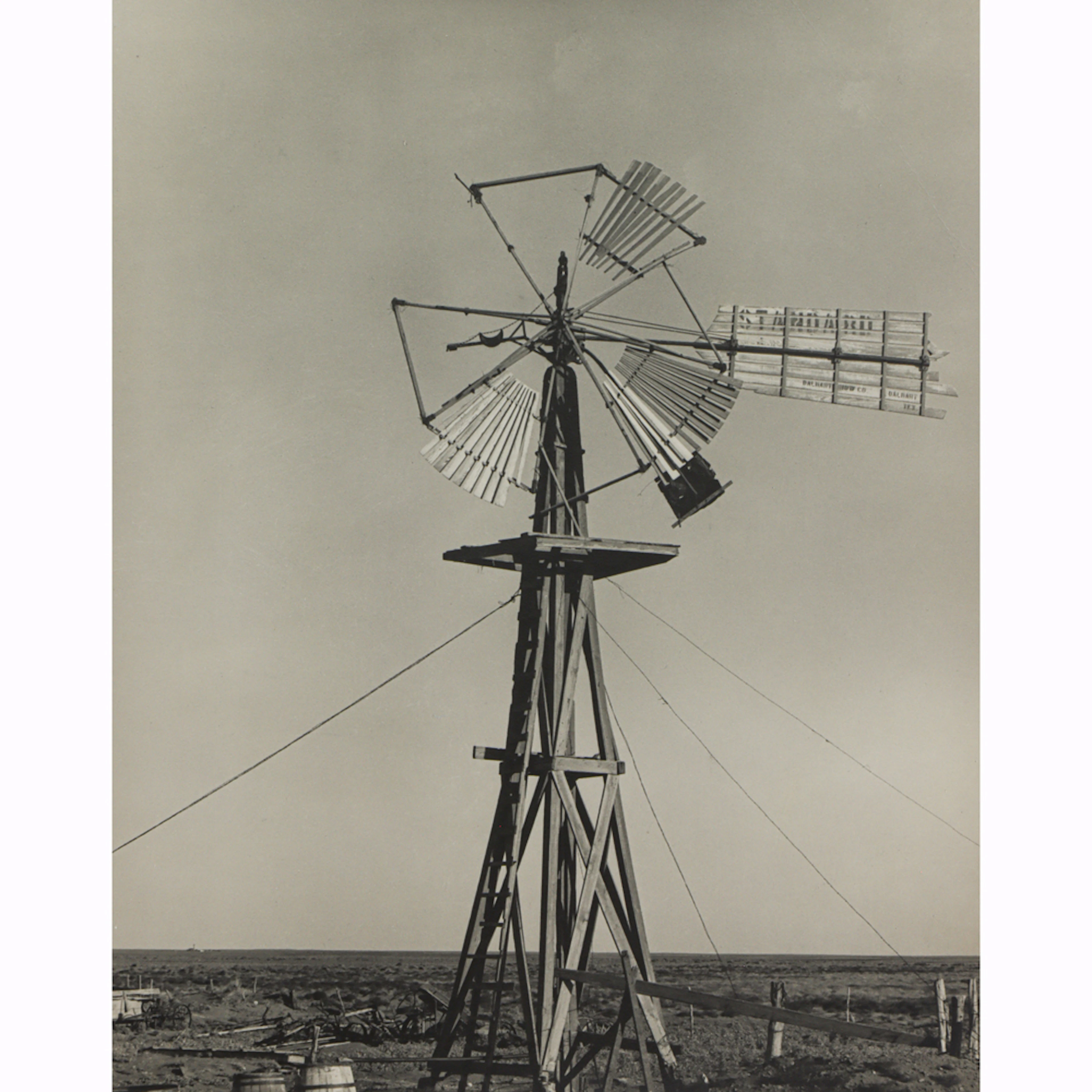 Photograph, Dorothea Lange