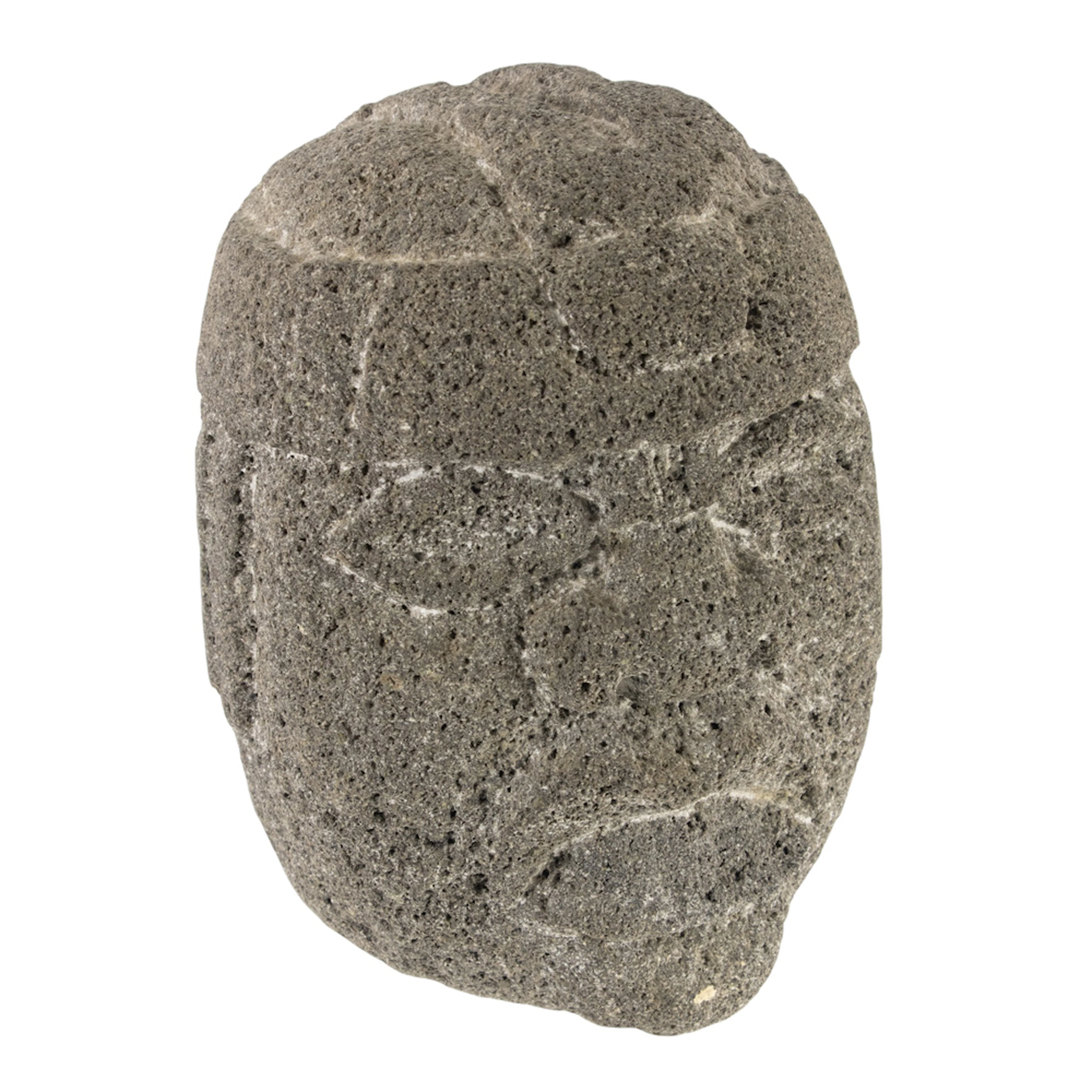 An Olmec carved lava head fragment