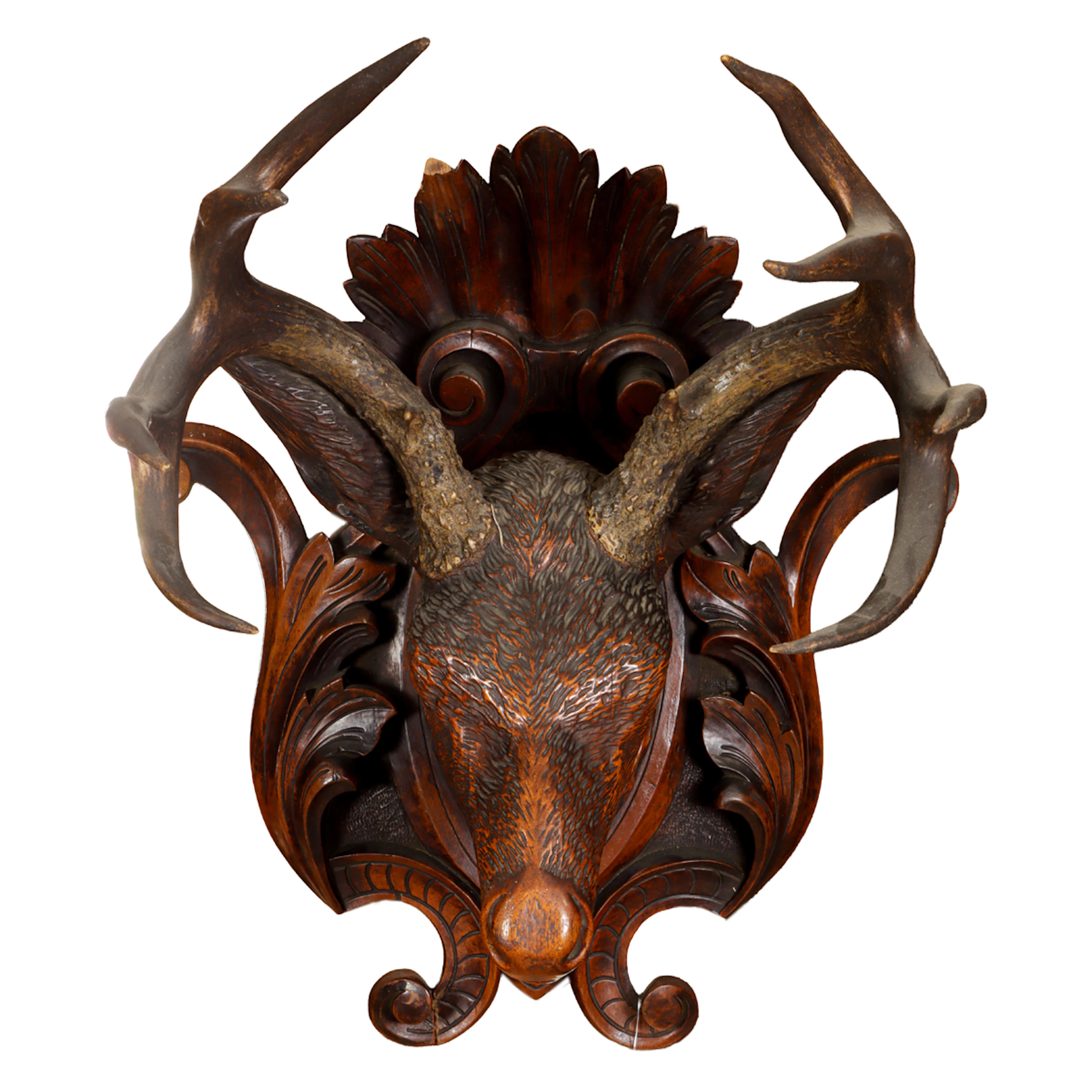An American Renaissance Revival walnut deer trophy head