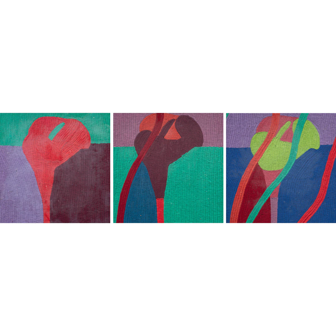 Textiles, Carlos Cobos