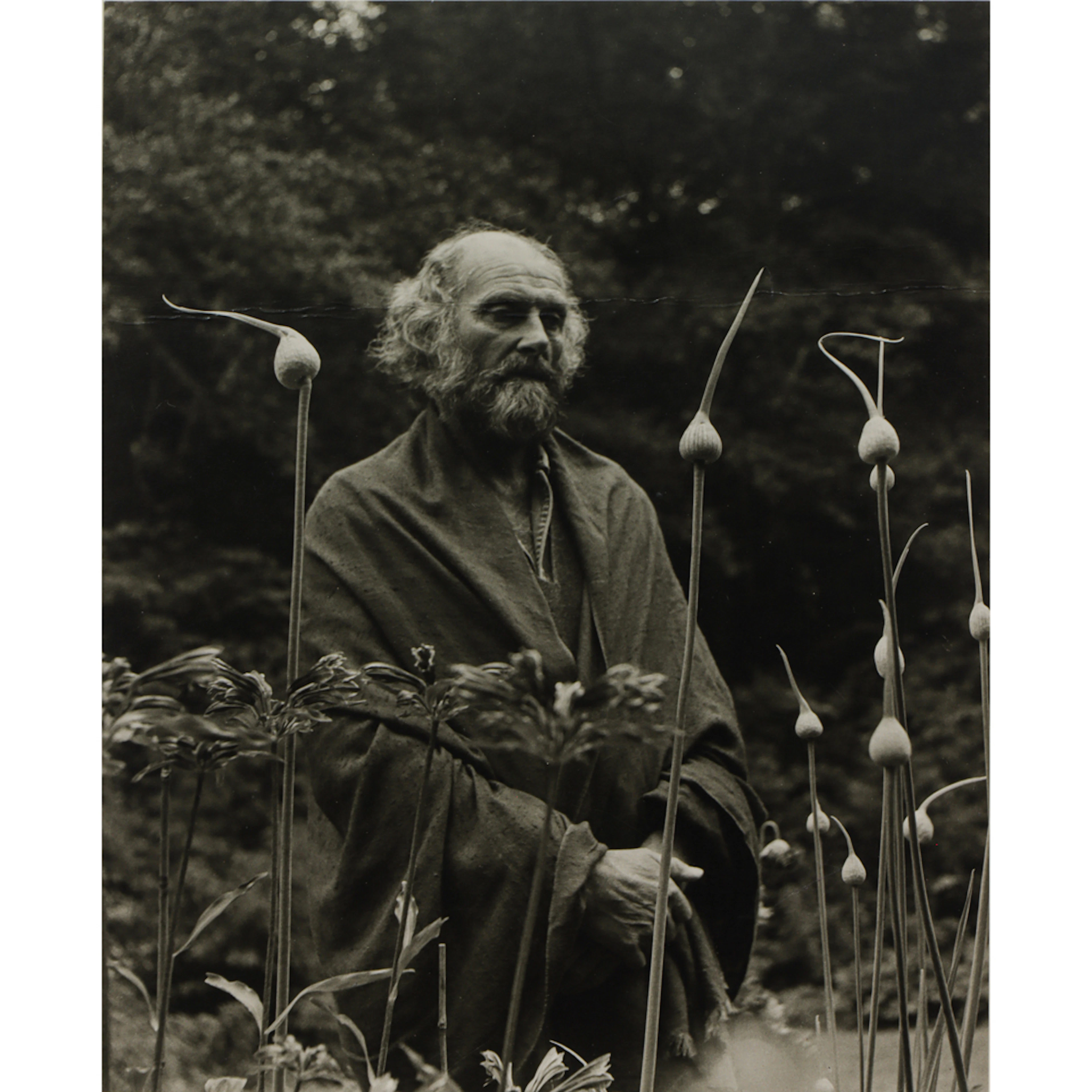 Photograph, Imogen Cunningham