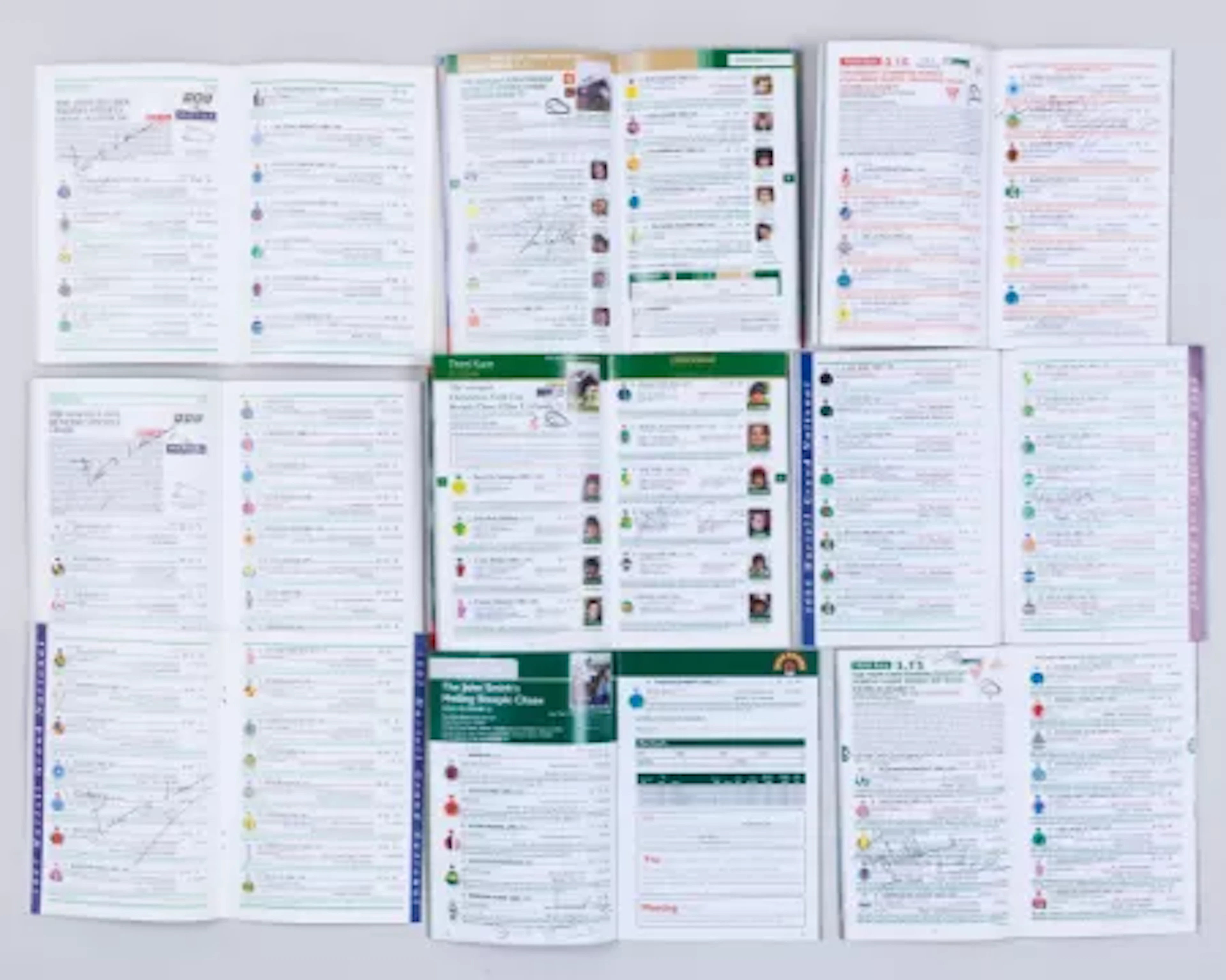A good collection of 11 autographed jump racing racecards