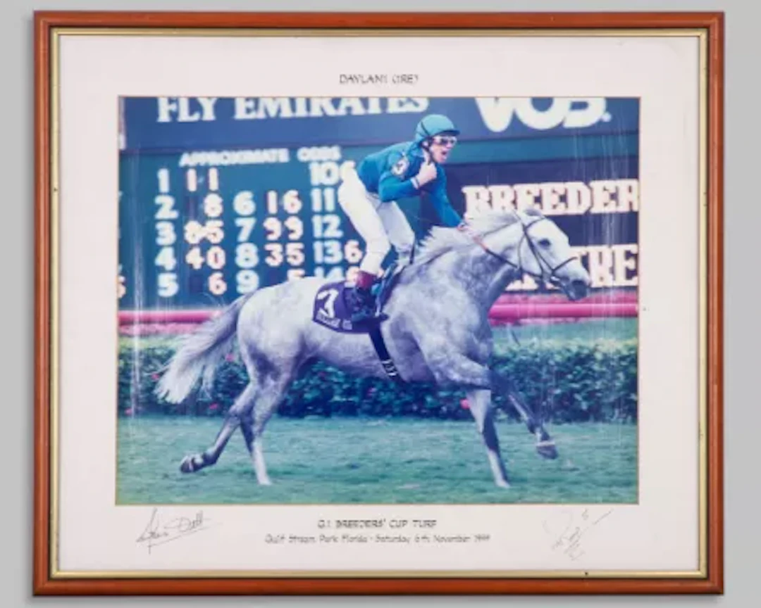 Colour photograph of the racehorse Daylami signed by Frankie Dettori