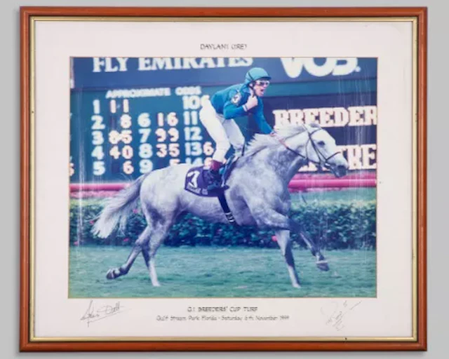 Colour photograph of the racehorse Daylami signed by Frankie Dettori