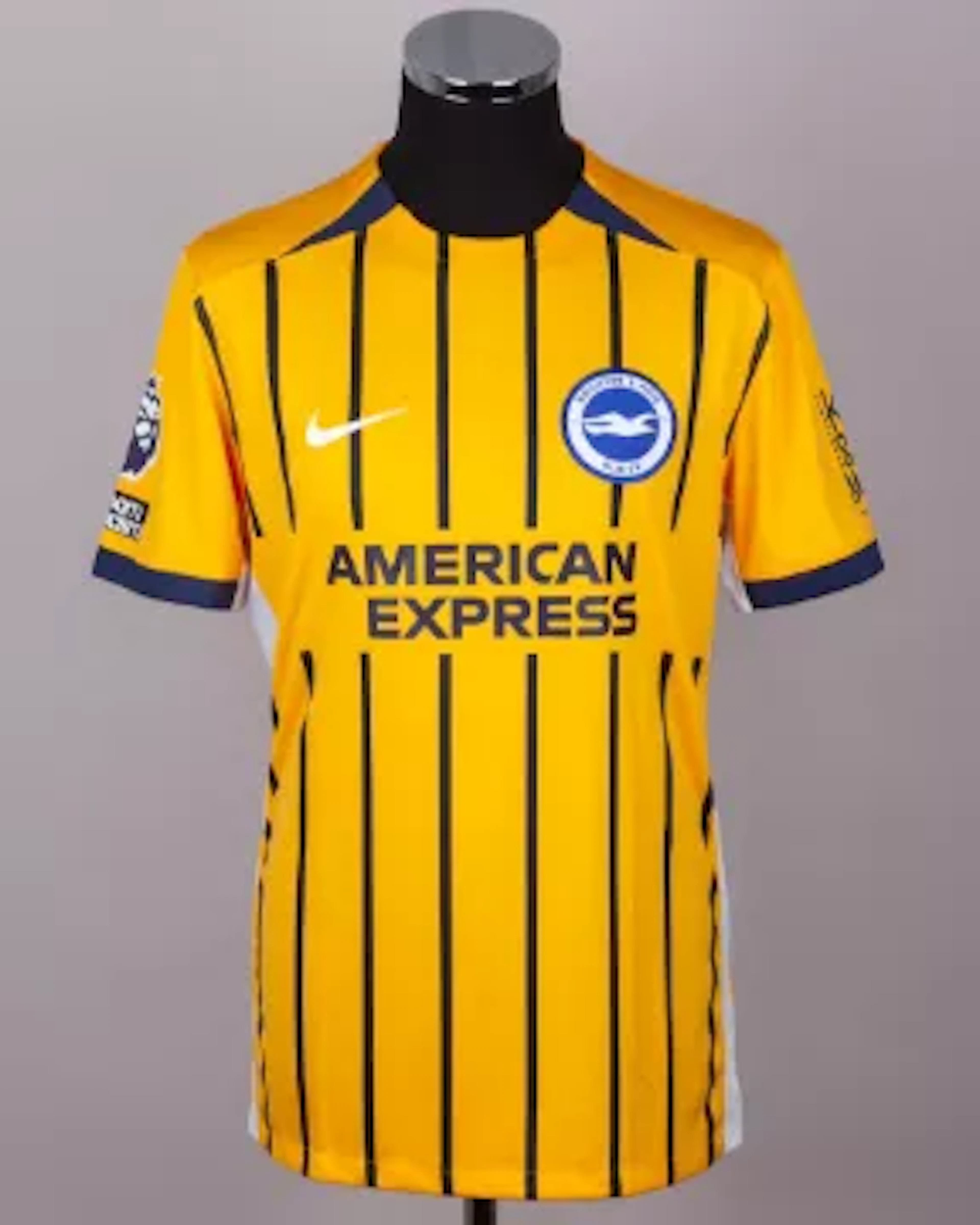 Jack Hinshelwood yellow and blue No.13 Brighton and Hove Albion third
