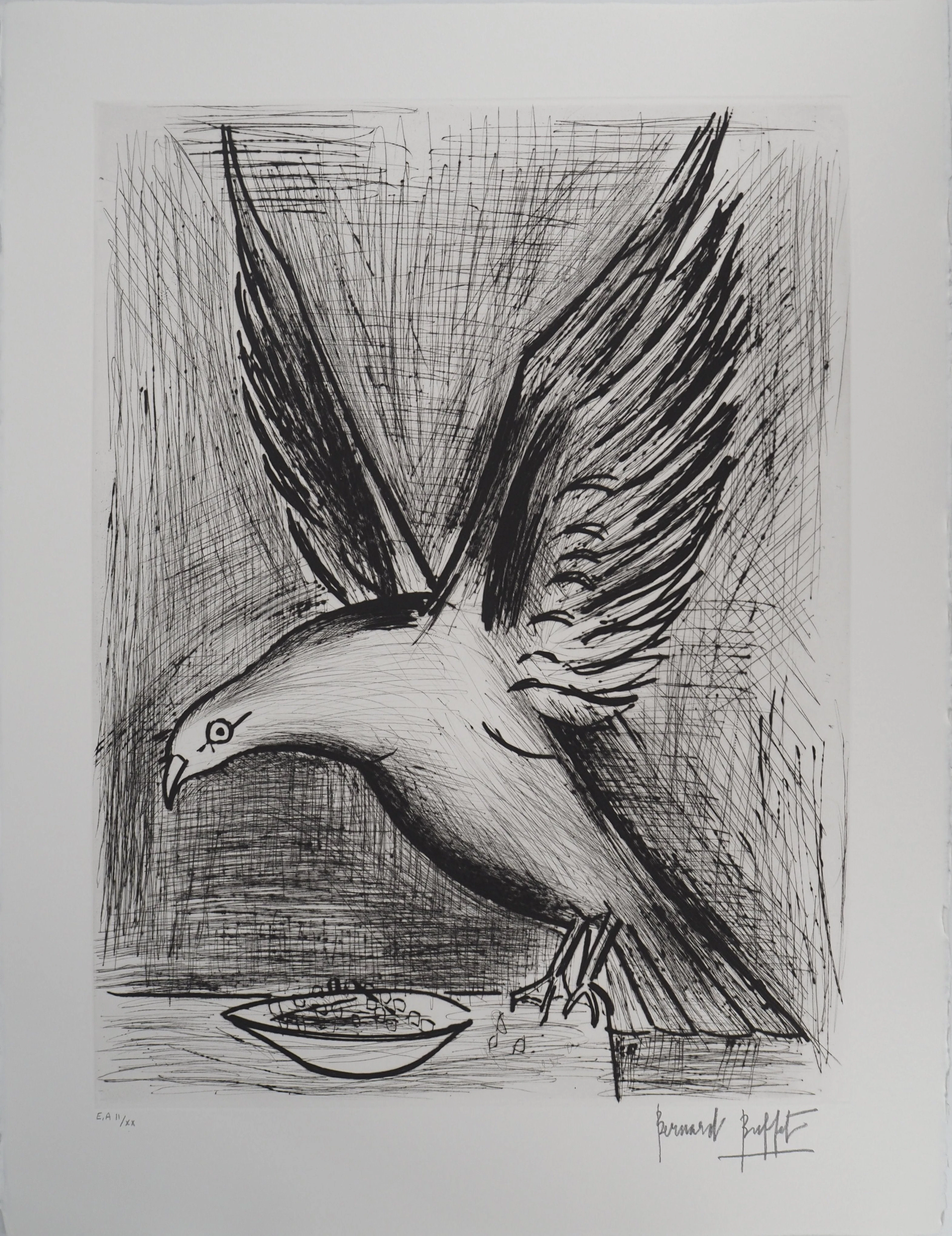 Bernard BUFFET : Bretagne, la Mouette, Gravure originale signée