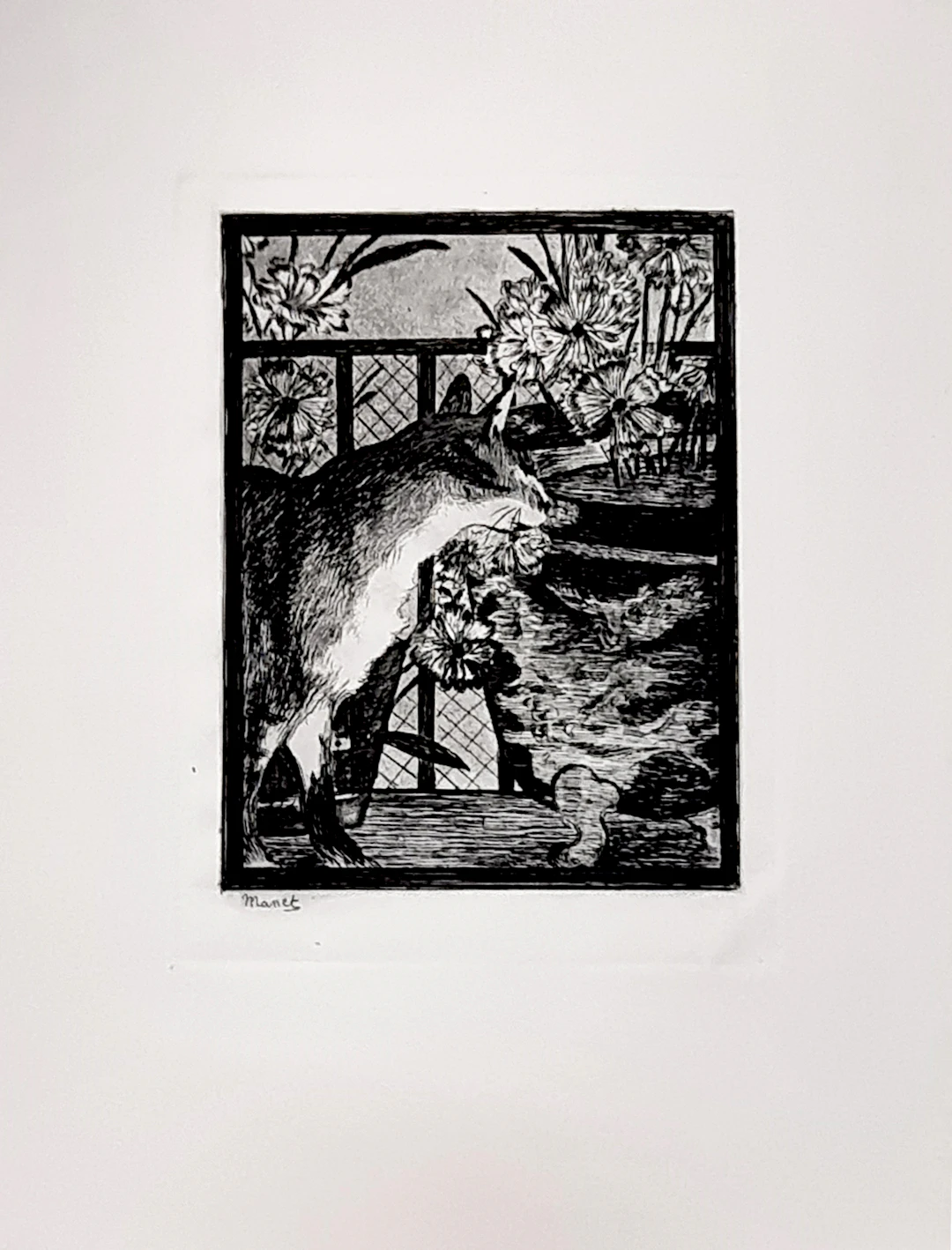 Édouard Manet , Le chat et les fleurs, eau-forte et aquateinte, 1869
