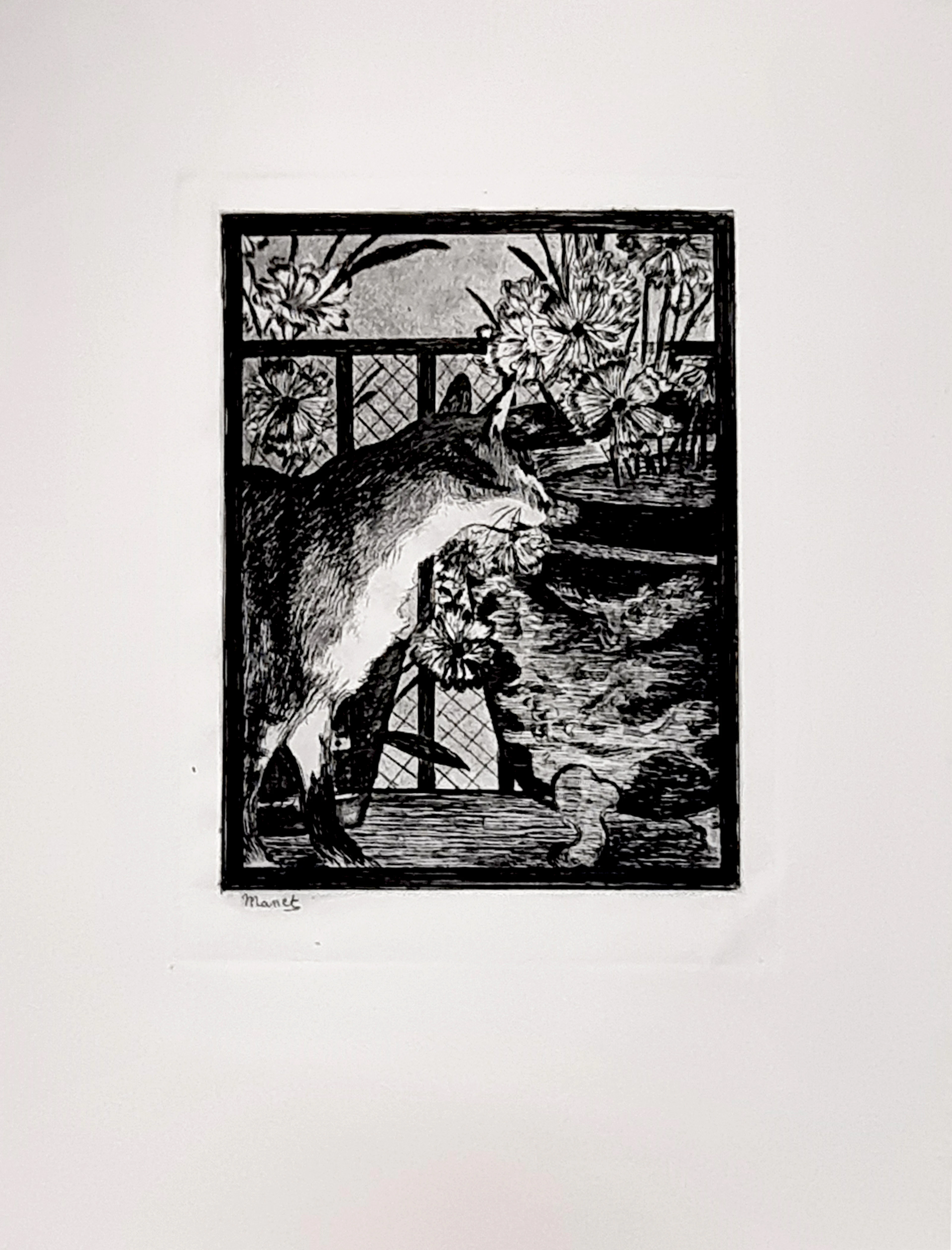 Édouard Manet , Le chat et les fleurs, eau-forte et aquateinte, 1869