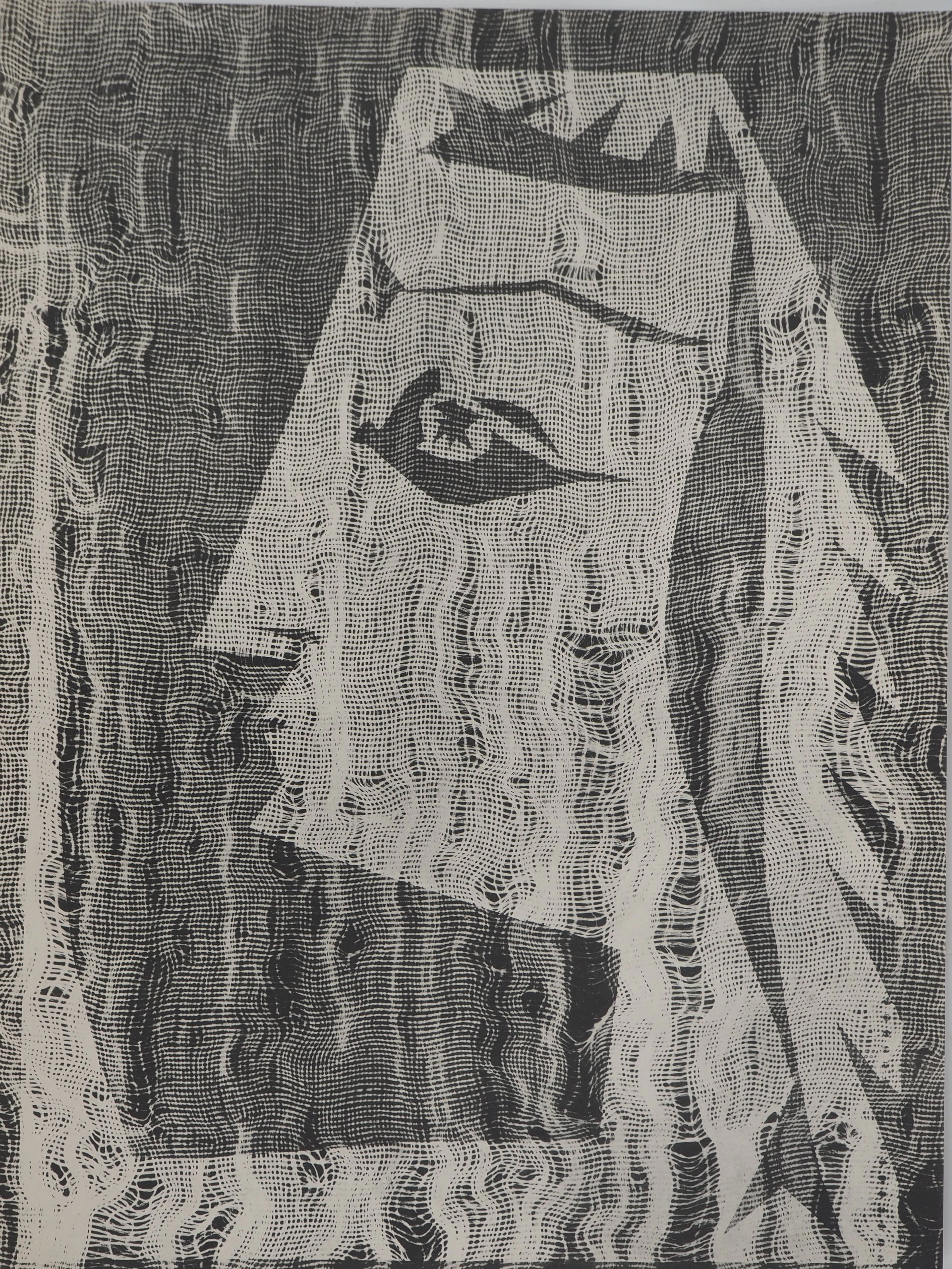Pablo PICASSO : Diurnes, Jacqueline à l’étamine, Phototypie originale