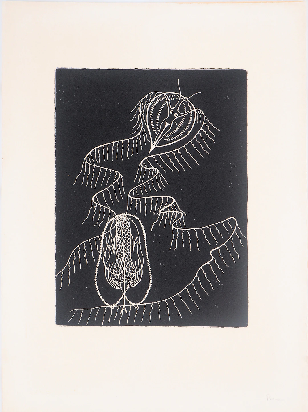 BONA : Dalila exaltée, 1962 - Gravure originale signée au crayon