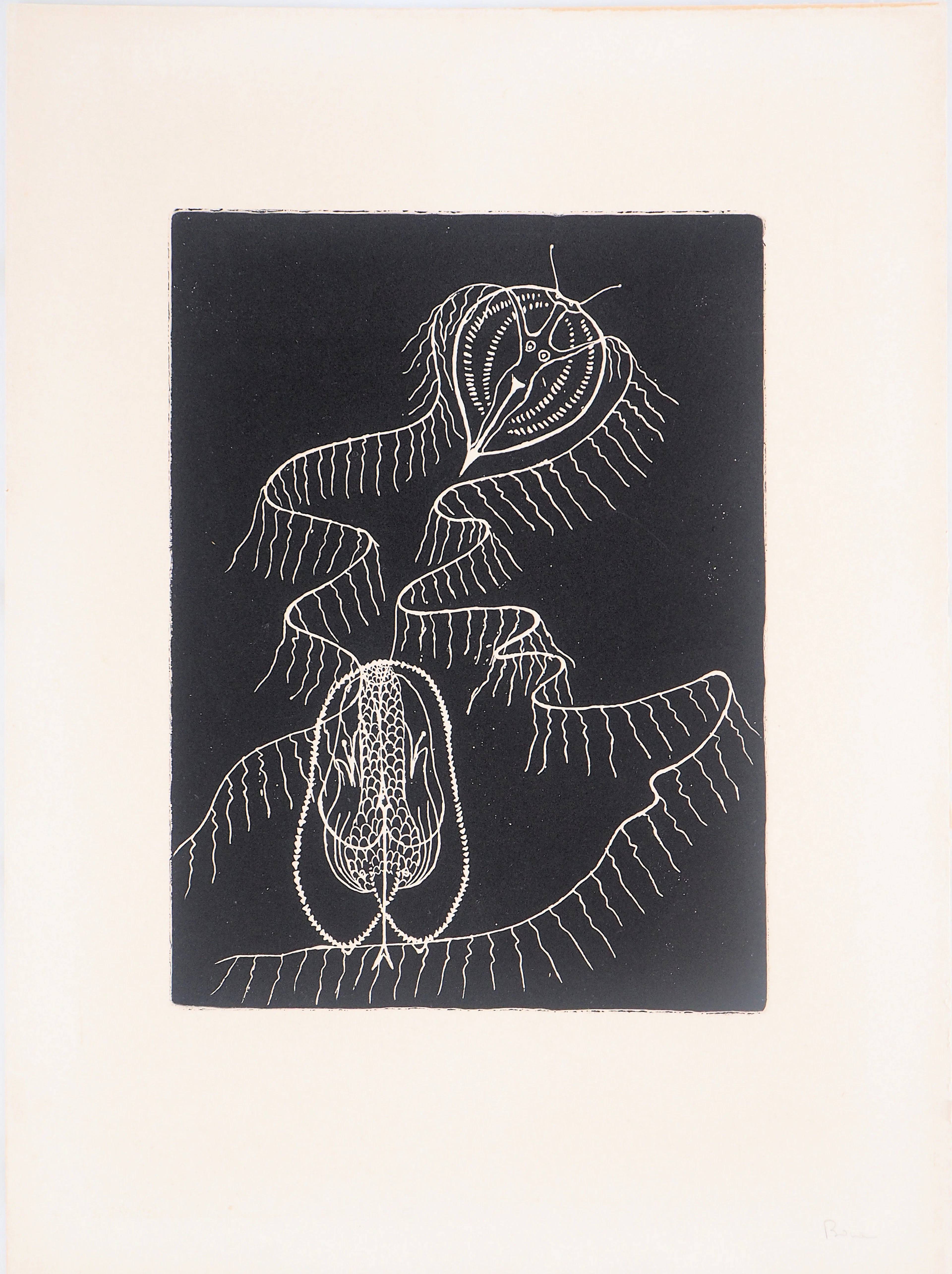 BONA : Dalila exaltée, 1962 - Gravure originale signée au crayon