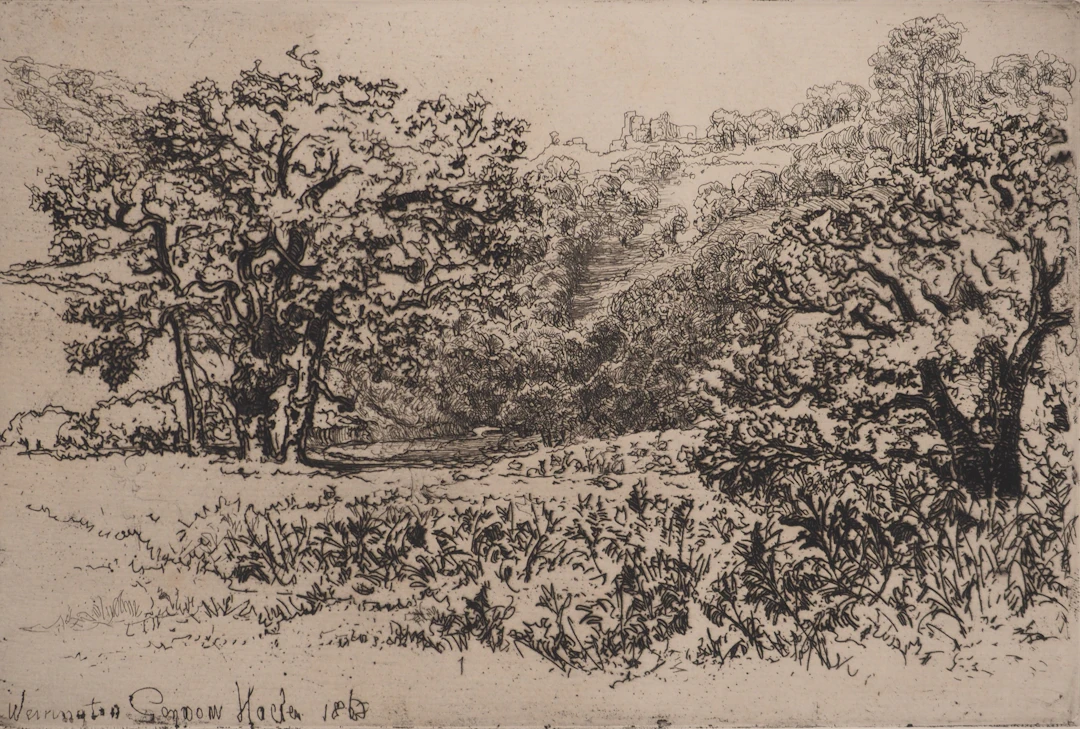 Francis SEYMOUR-HADEN : La Rookery, Gravure originale signée