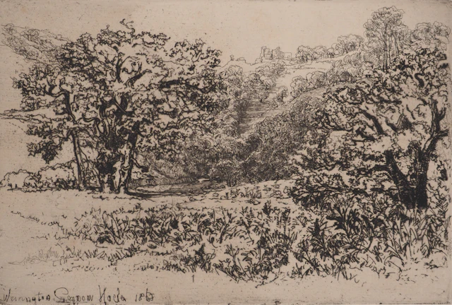Francis SEYMOUR-HADEN : La Rookery, Gravure originale signée