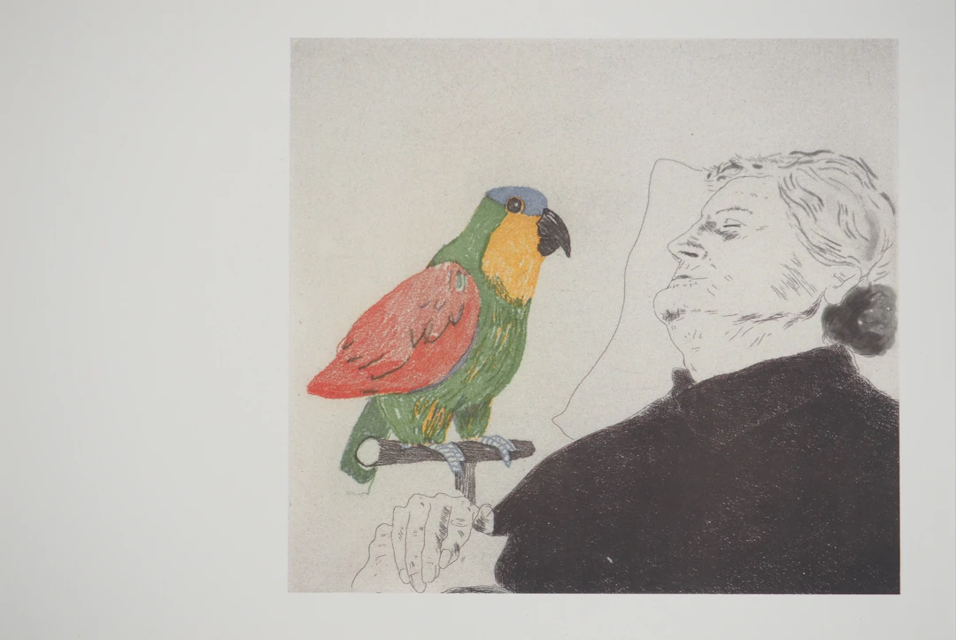 David HOCKNEY : La mère de l’artiste au perroquet, Héliogravure