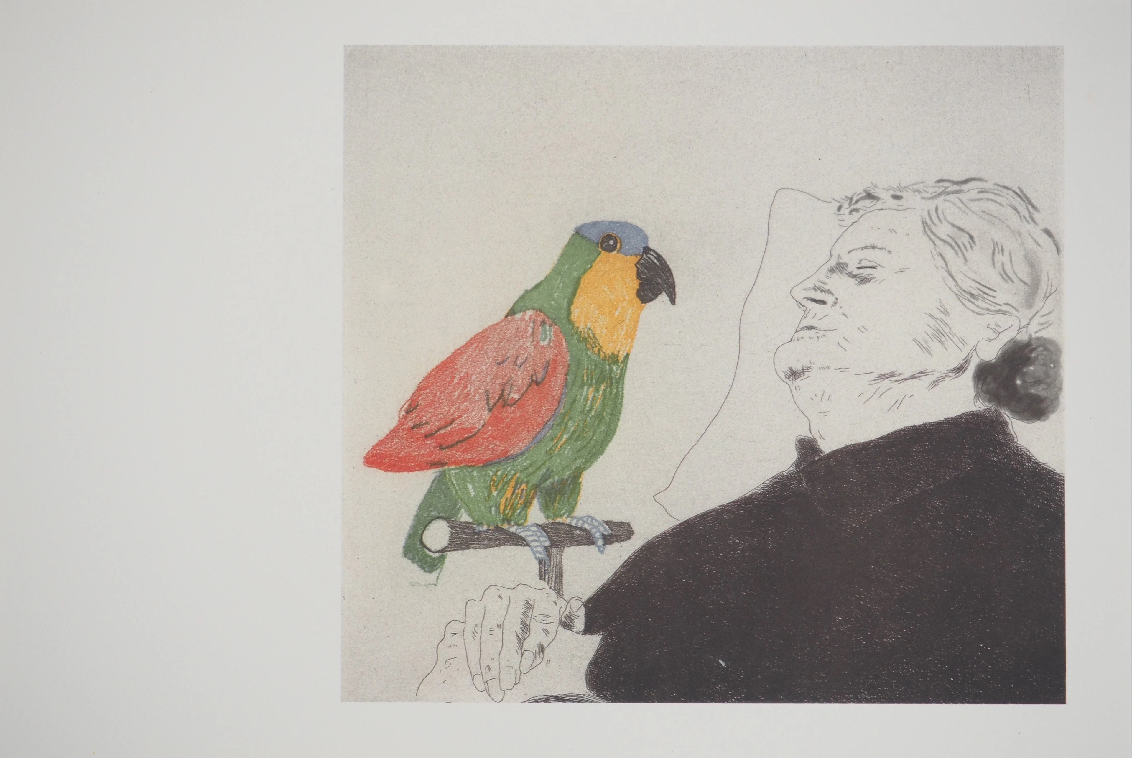 David HOCKNEY : La mère de l’artiste au perroquet, Héliogravure