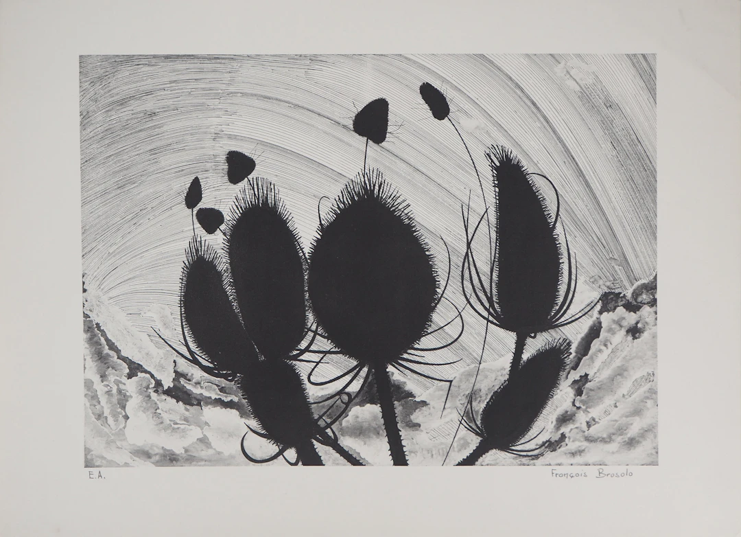 François BROSOLO - Les chardons - Lithographie originale signée
