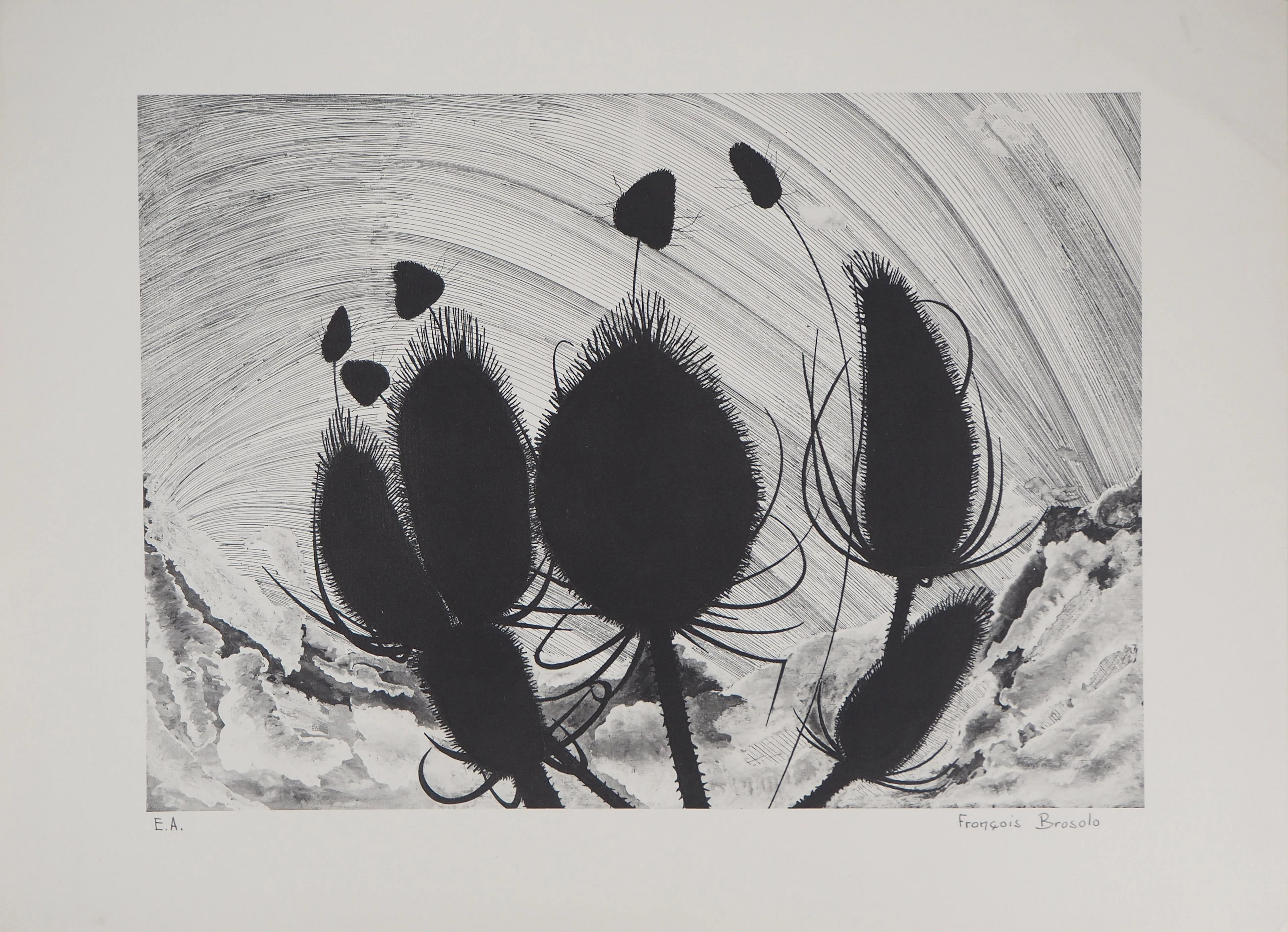 François BROSOLO - Les chardons - Lithographie originale signée