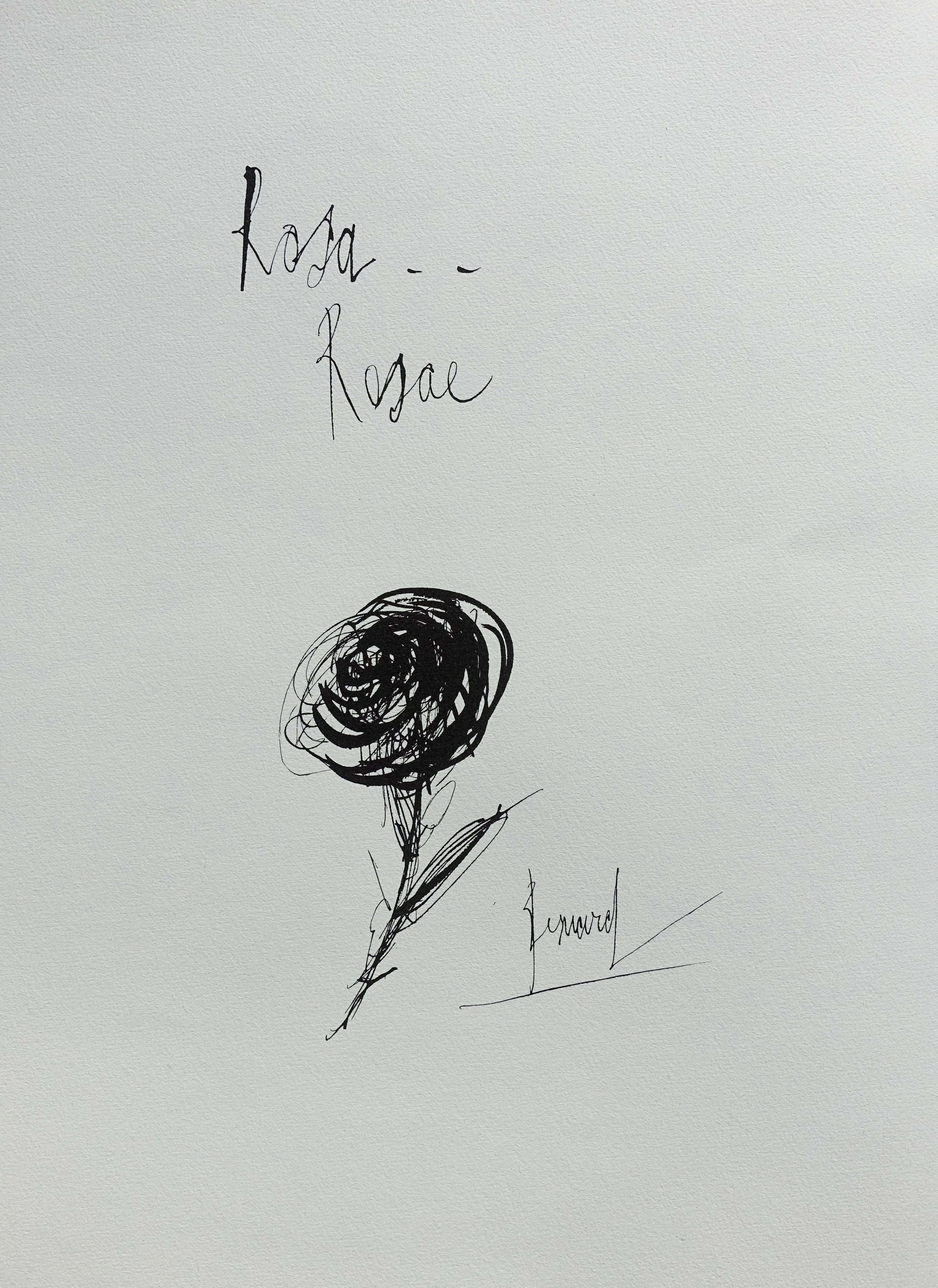 Bernard BUFFET : Rosa Rosae, Gravure originale signée
