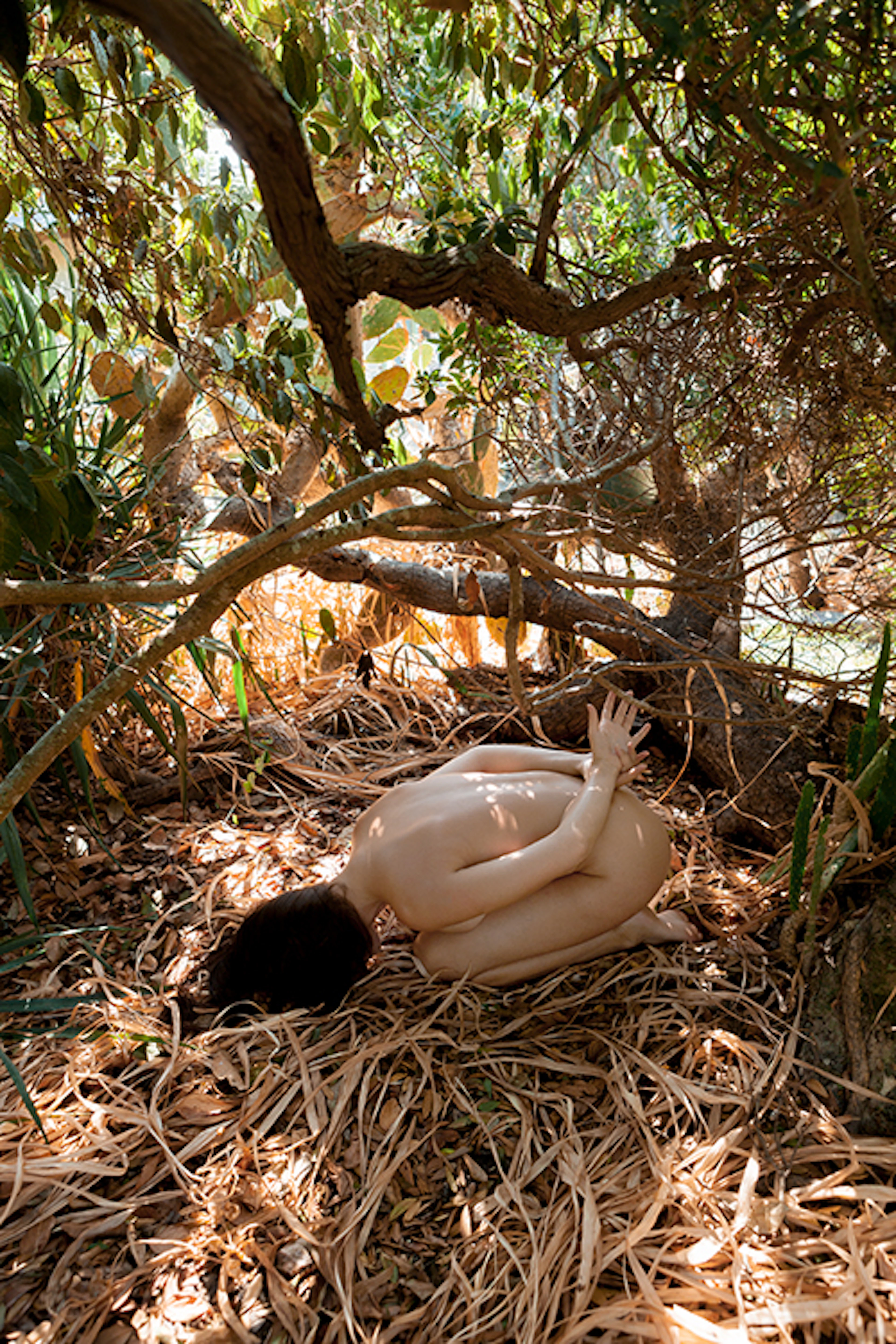 Guy THOUVIGNON - Tao’s nude, 2015 - Impression sur aluminium