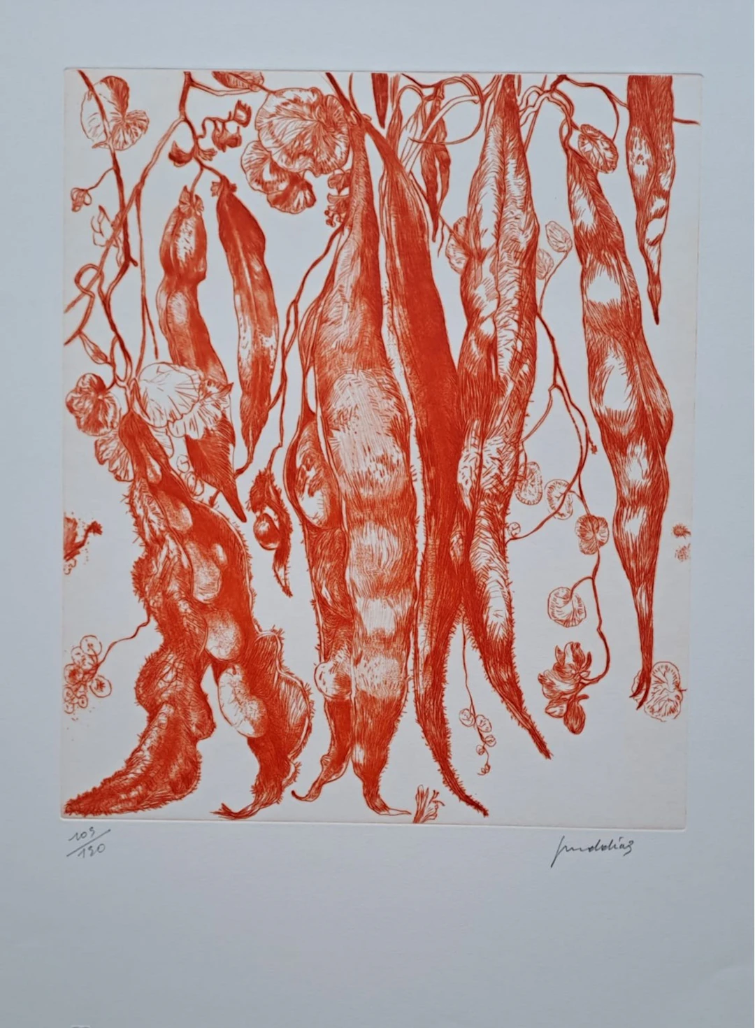 Gérard Diaz - Les haricots au vent - Gravure originale signée et numérotée