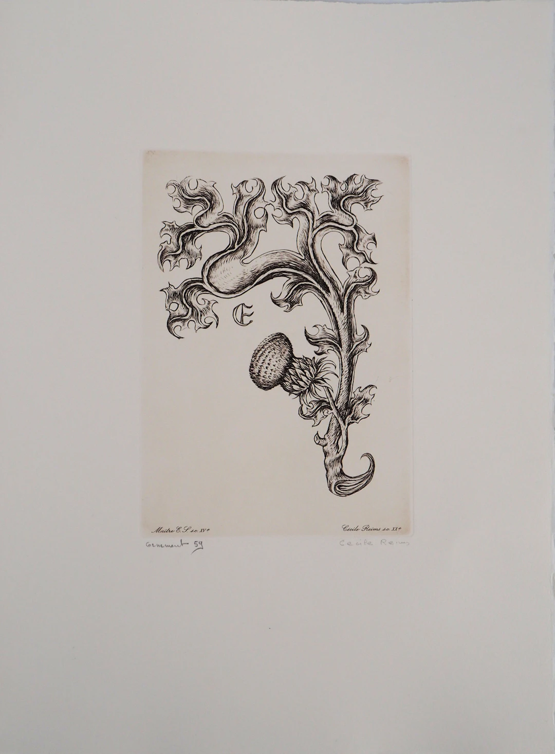 Cécile REIMS : Floraison - Gravure originale signée