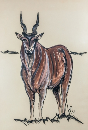 Jean POULAIN - Antilope, 1935, Aquarelle et fusain