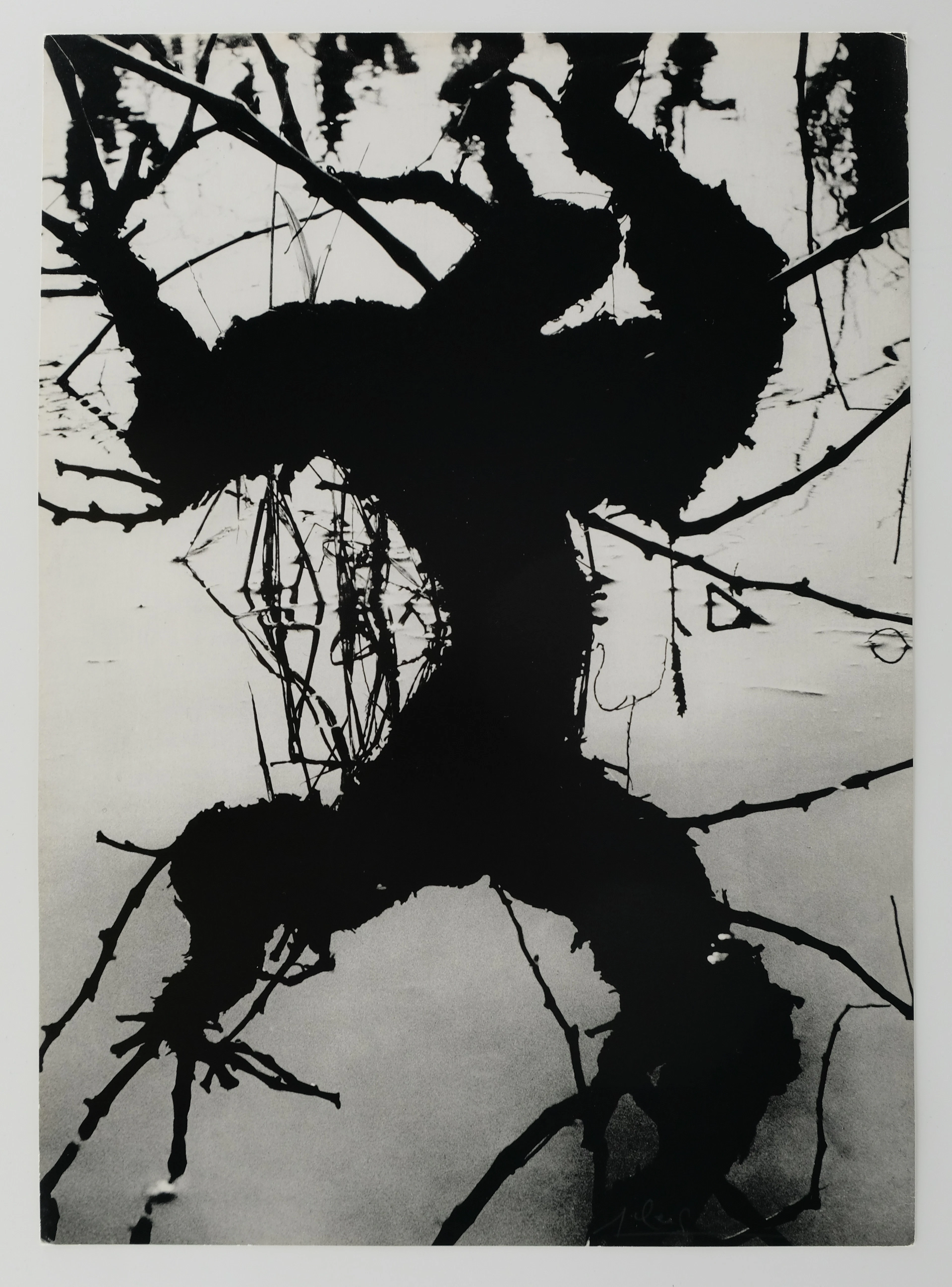 Lucien CLERGUE : Camargue secrète - Héliogravure originale signée