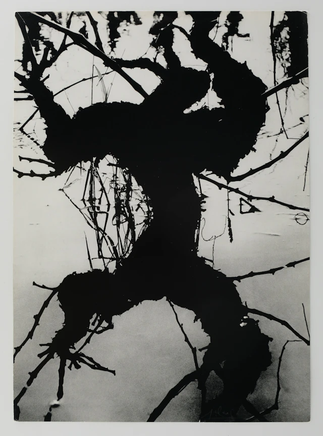Lucien CLERGUE : Camargue secrète - Héliogravure originale signée
