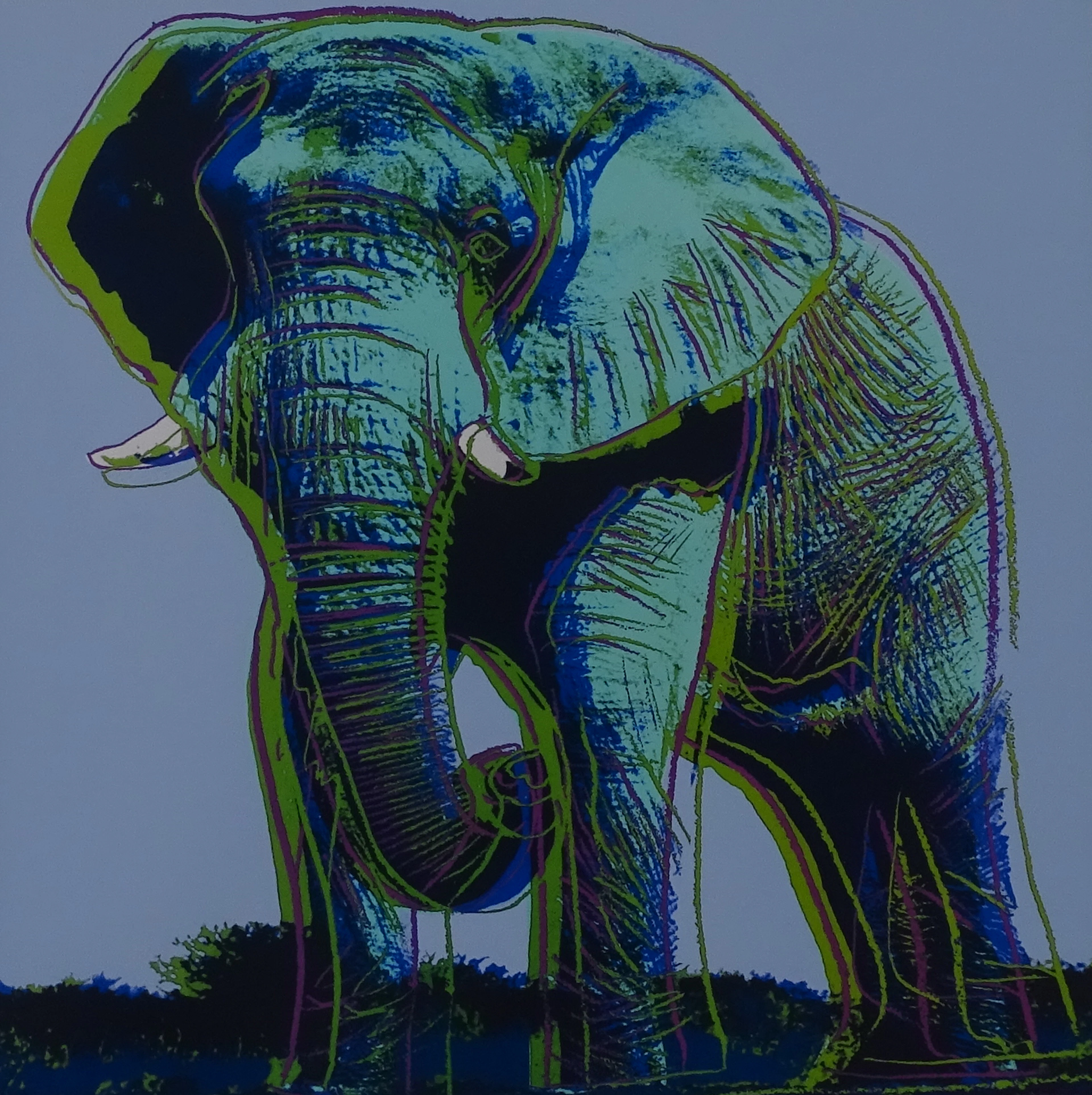 Andy Warhol - Éléphant, extrait de la série Espèces menacées - 1987