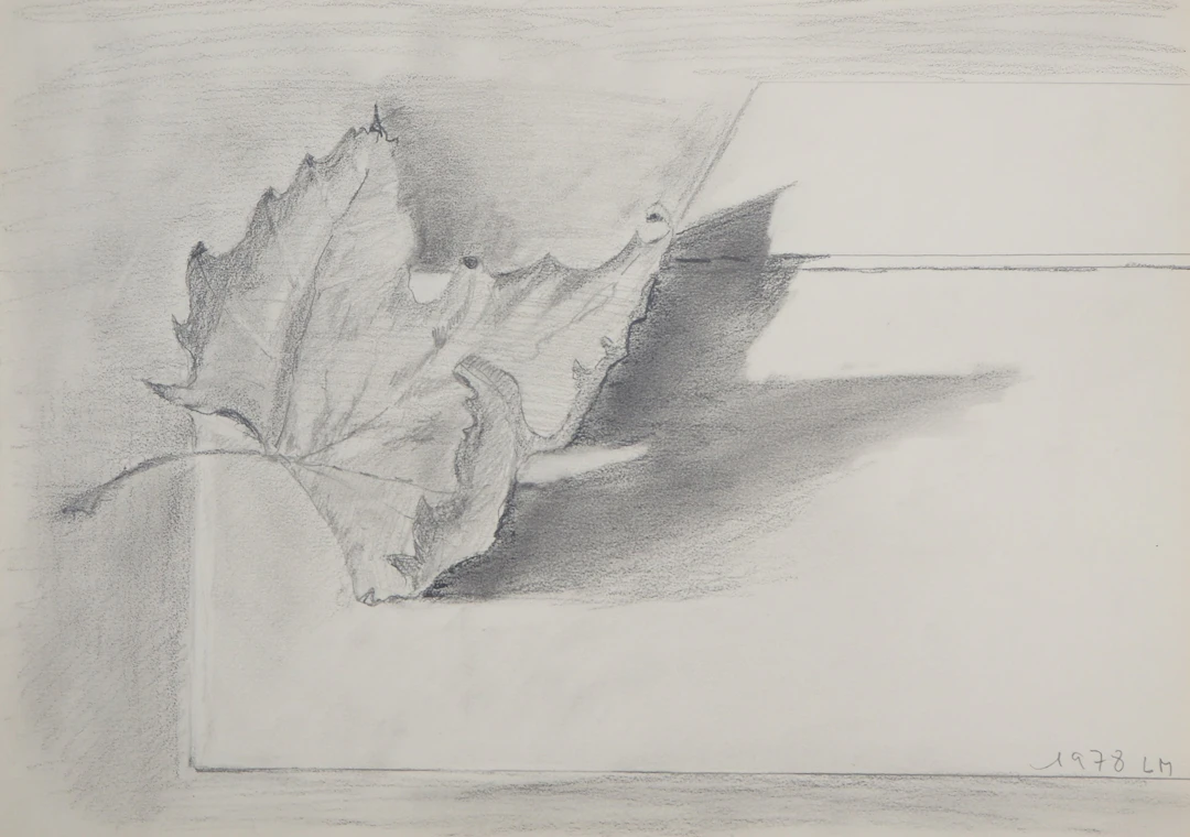 Lily MASSON : Feuille d’érable, 1978 - Dessin au crayon original signé