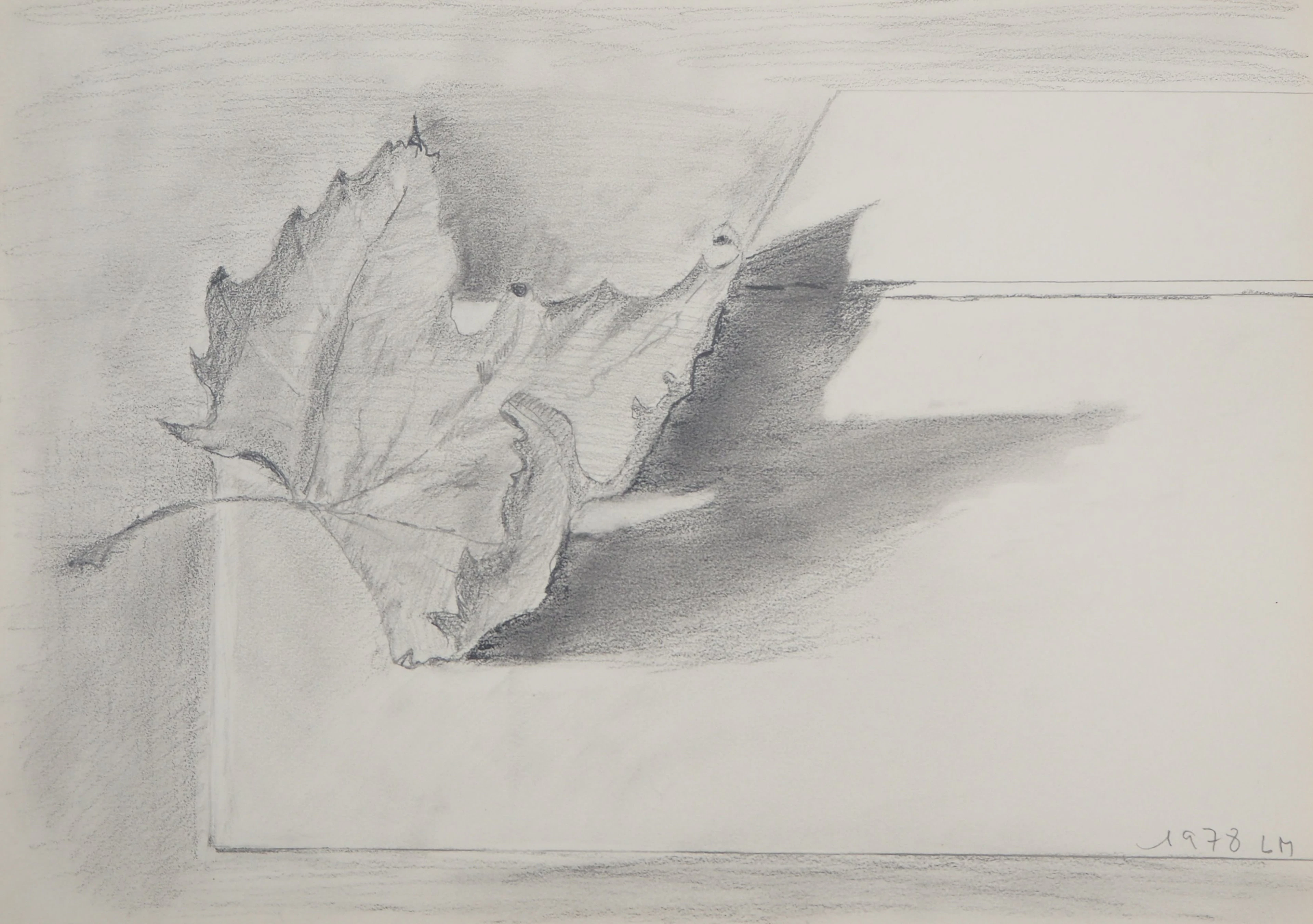Lily MASSON : Feuille d’érable, 1978 - Dessin au crayon original signé
