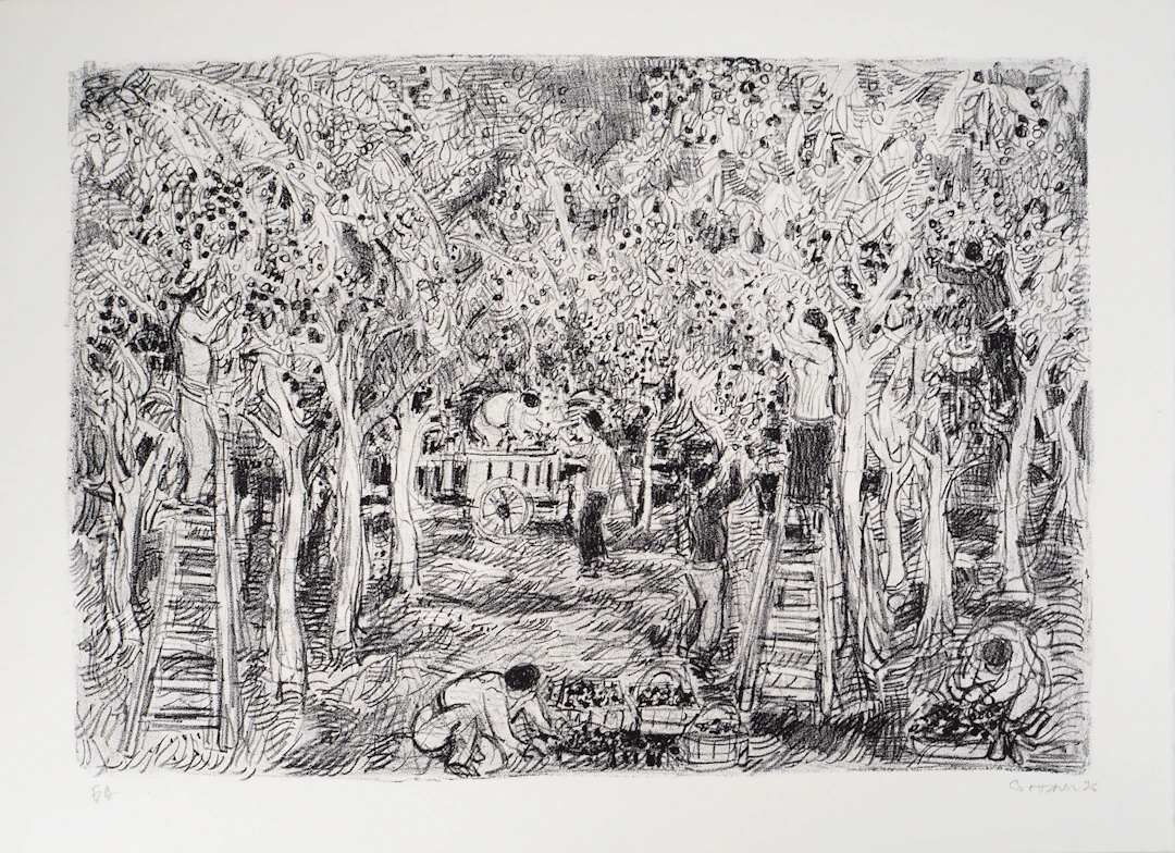 André COTTAVOZ - Cueillette estivale à Vallauris, vers 1976 - Lithographie