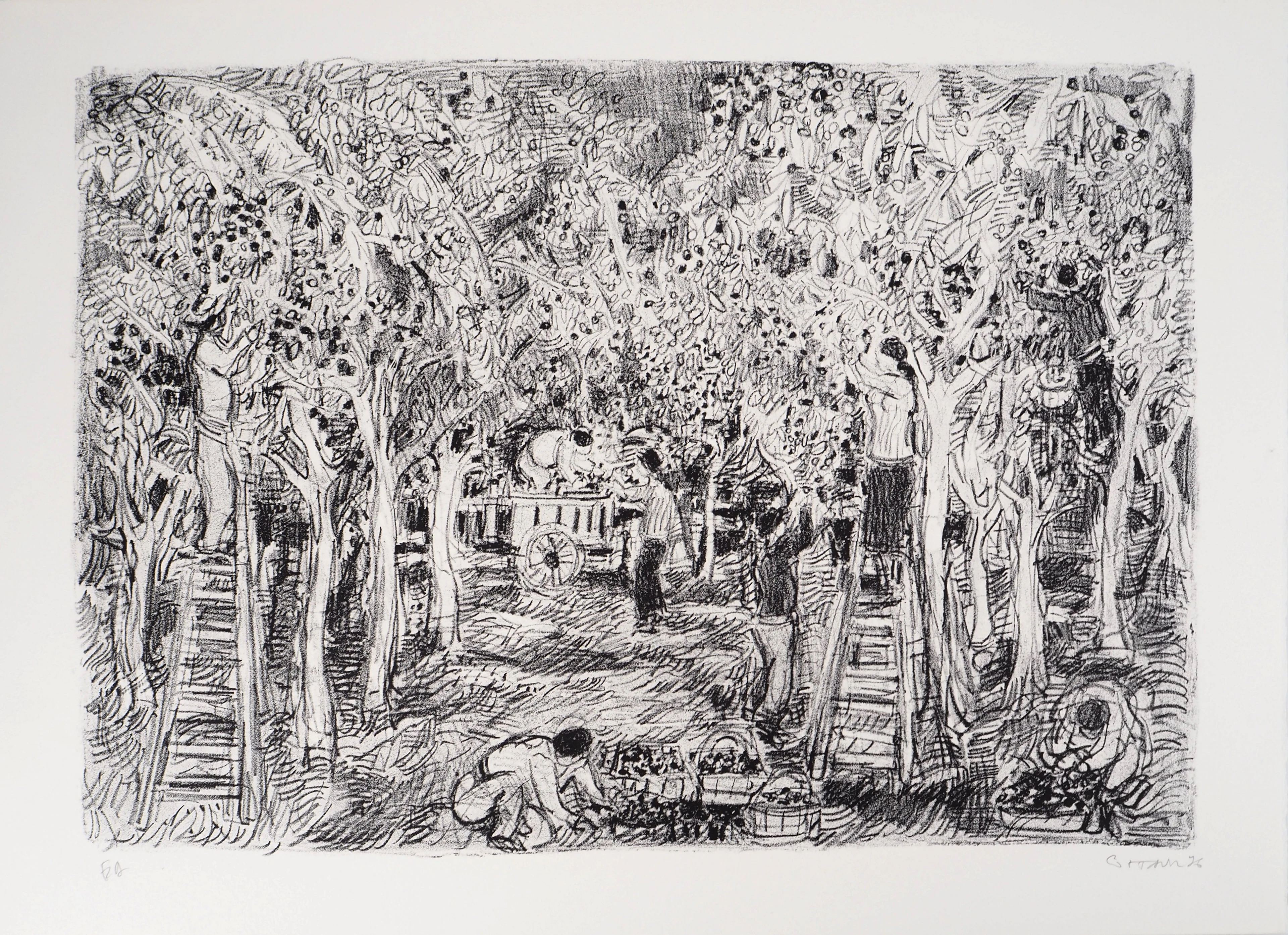 André COTTAVOZ - Cueillette estivale à Vallauris, vers 1976 - Lithographie